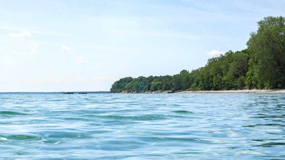 a body of water with trees in the background