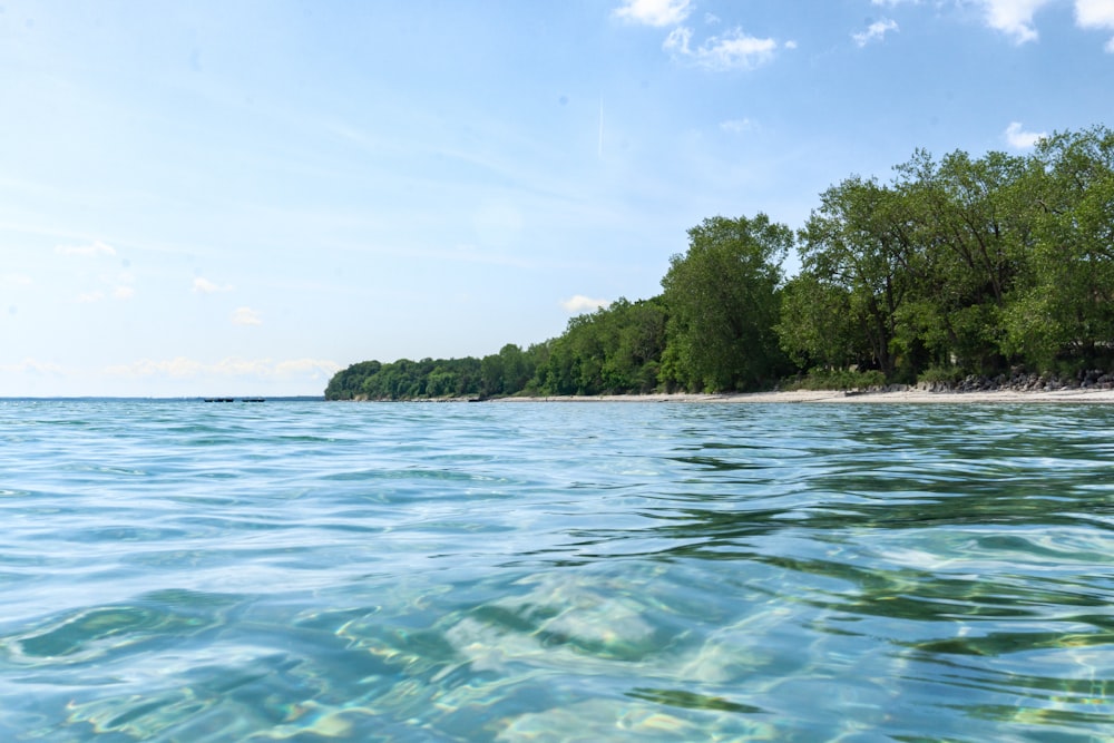 a body of water with trees in the background