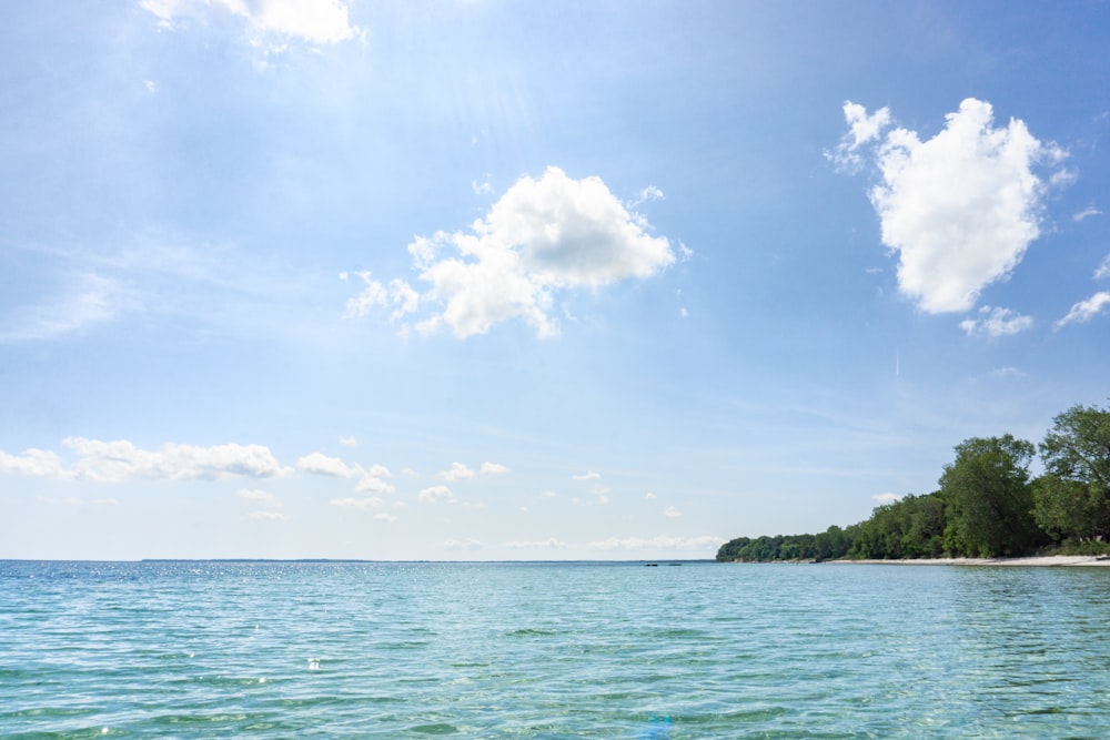 a body of water with trees in the background