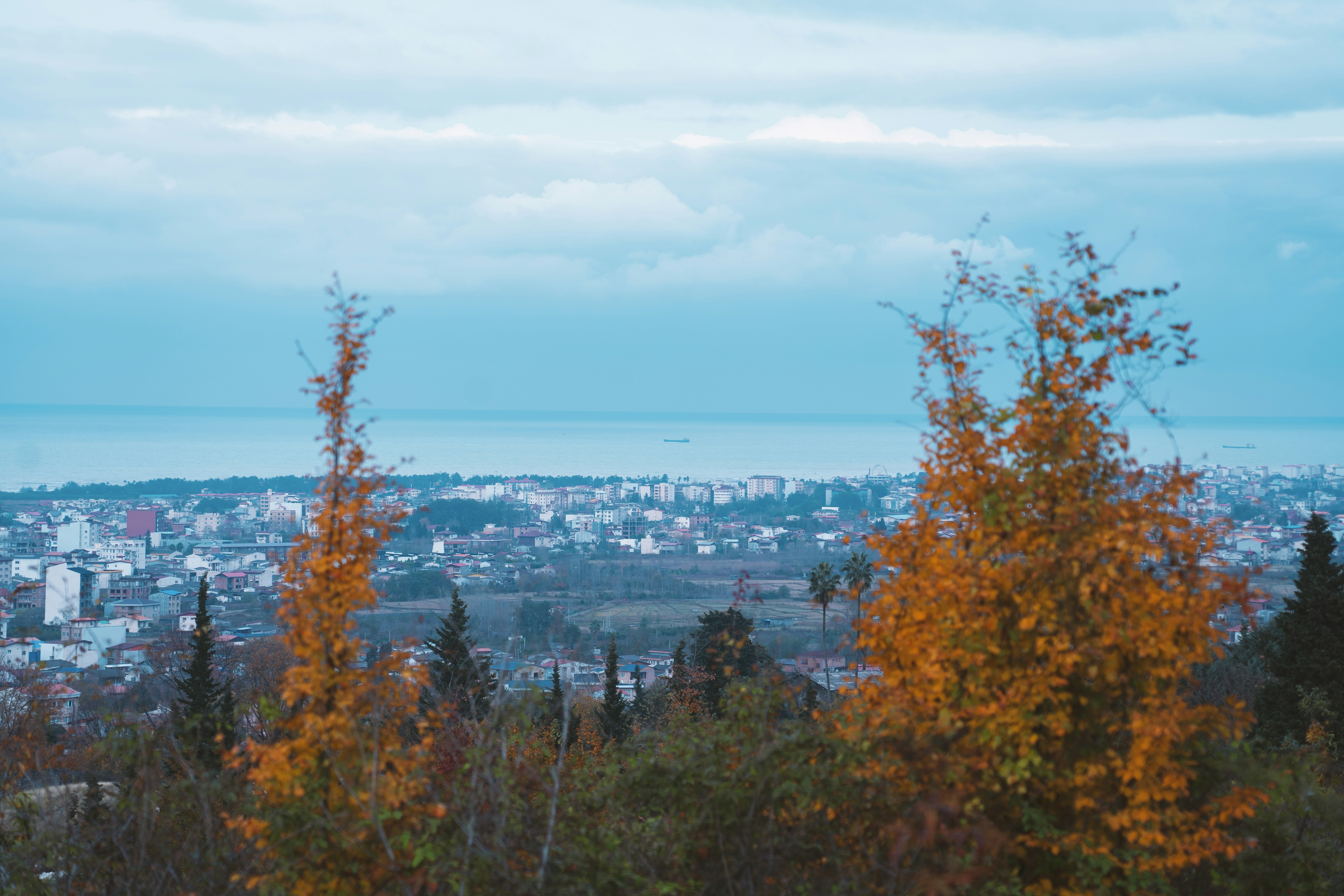 Photo by mahdi_taherian