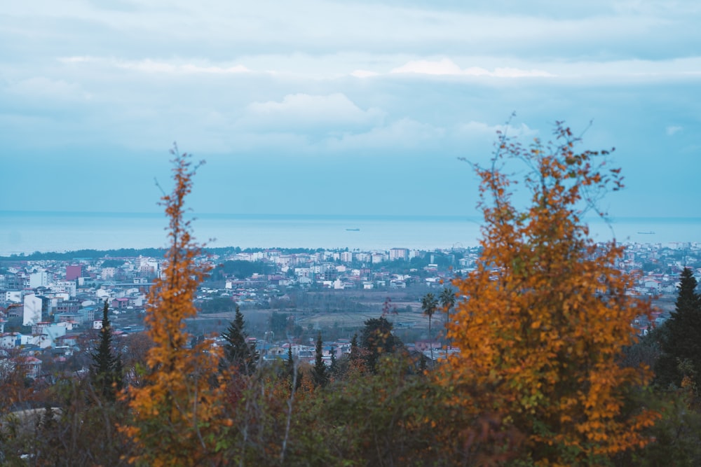 a view of a city from the top of a hill