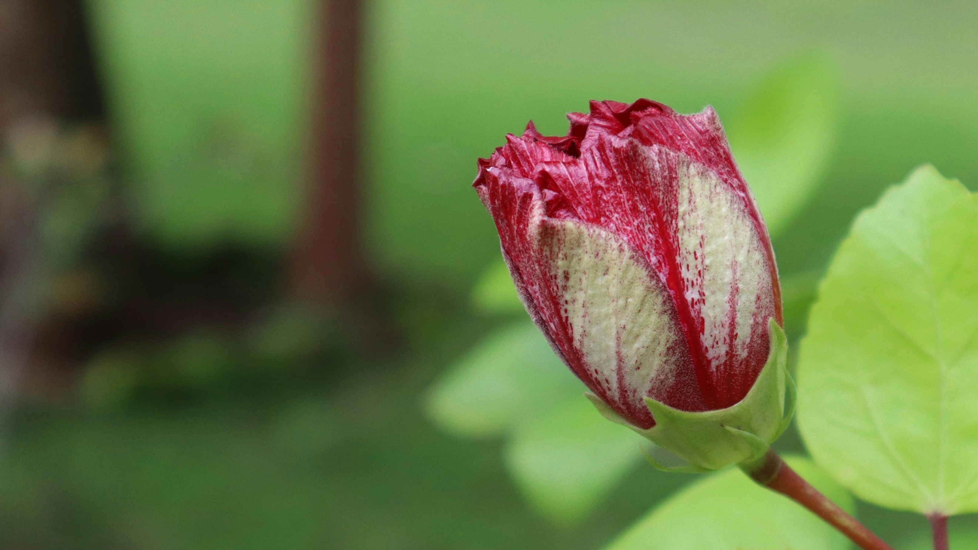 Photo by pjgajjar