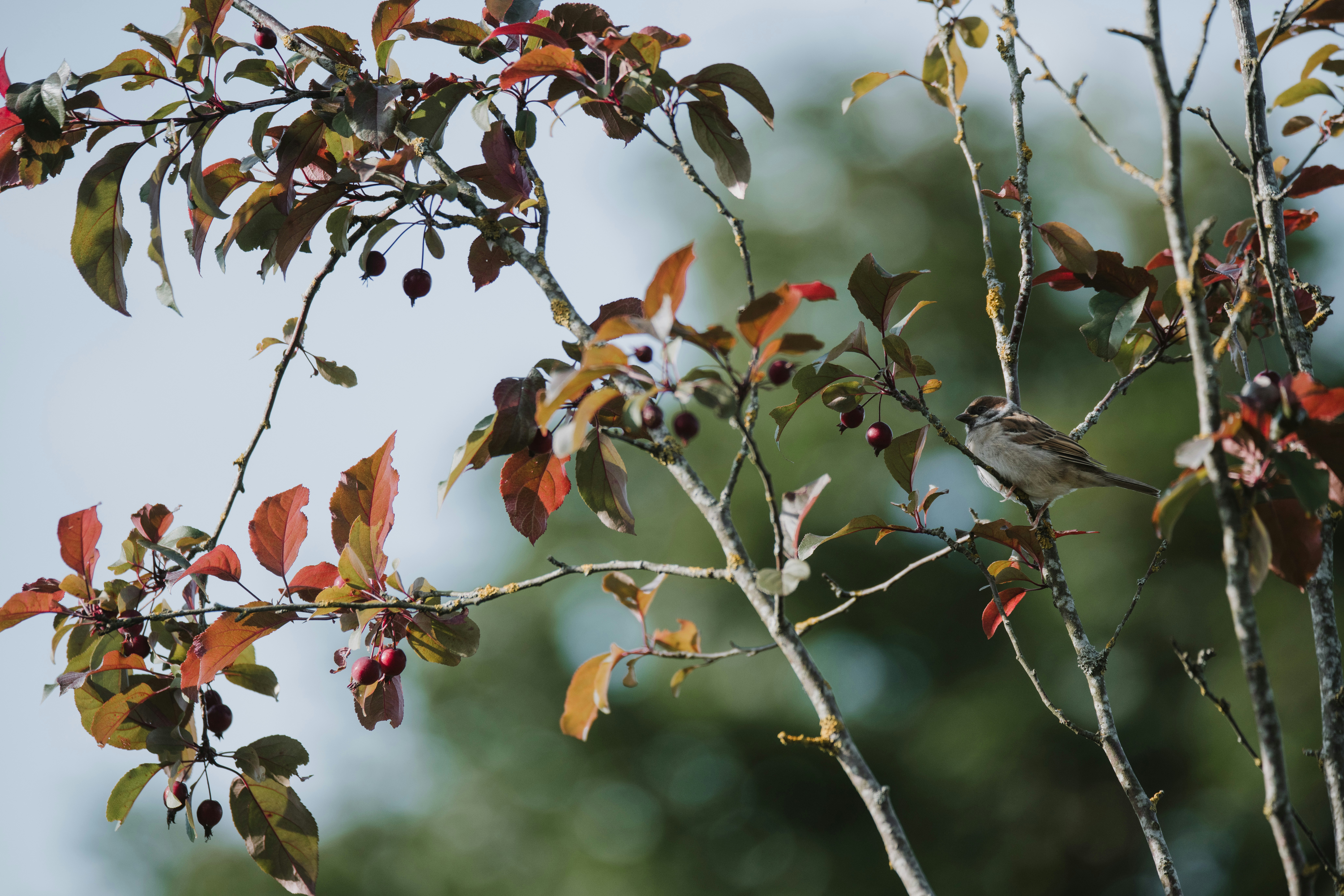 Photo by anitaaustvika