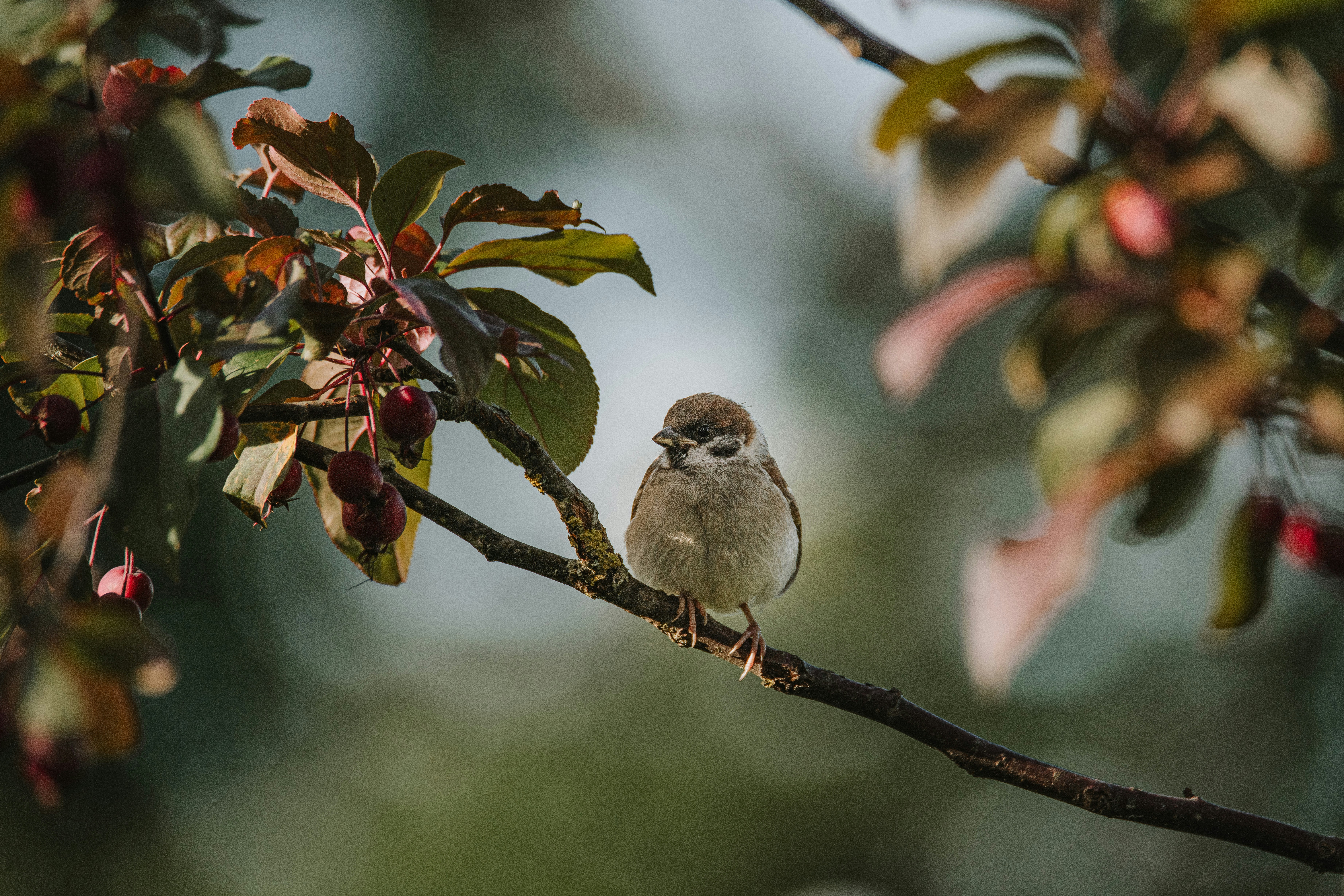 Photo by anitaaustvika