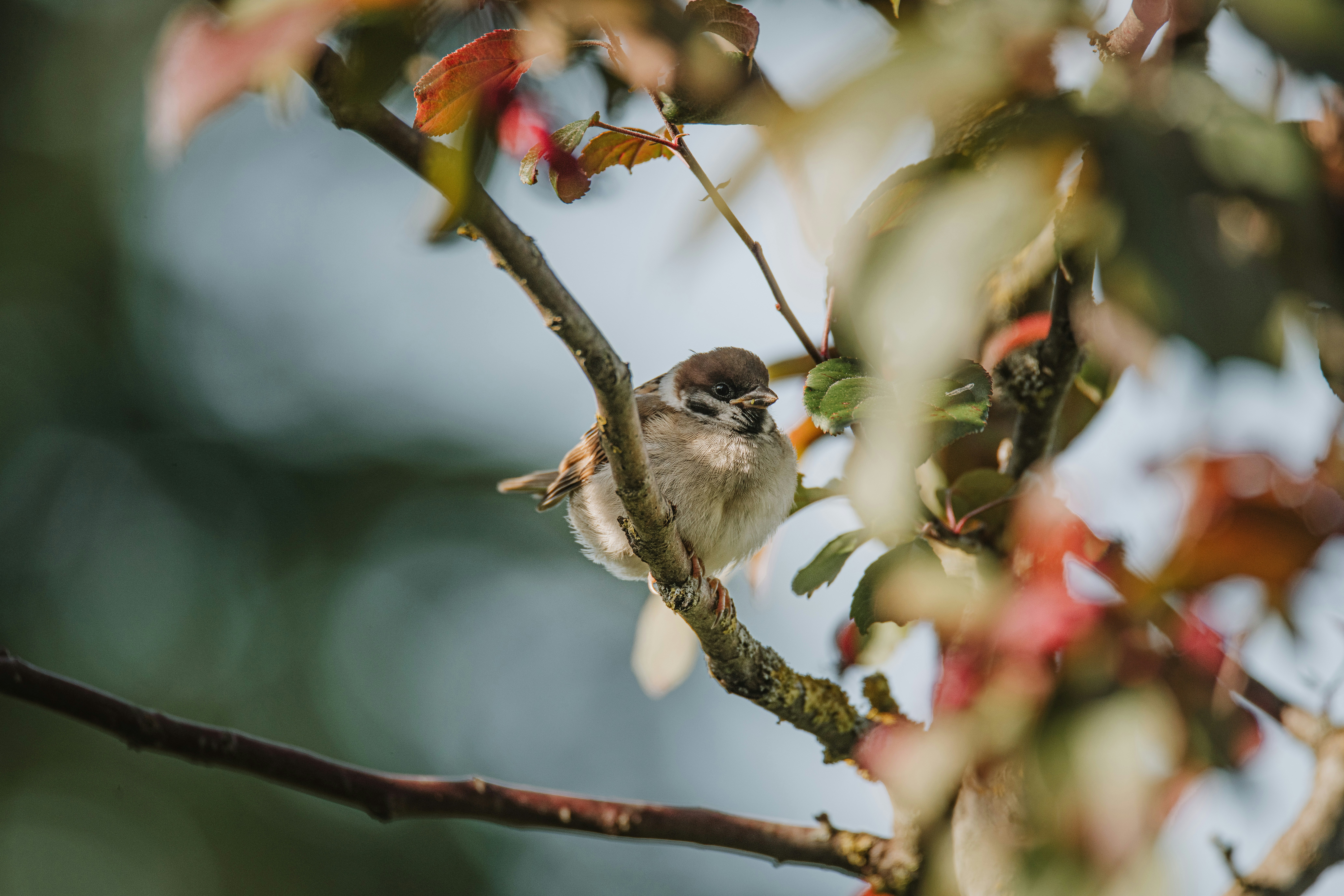 Photo by anitaaustvika