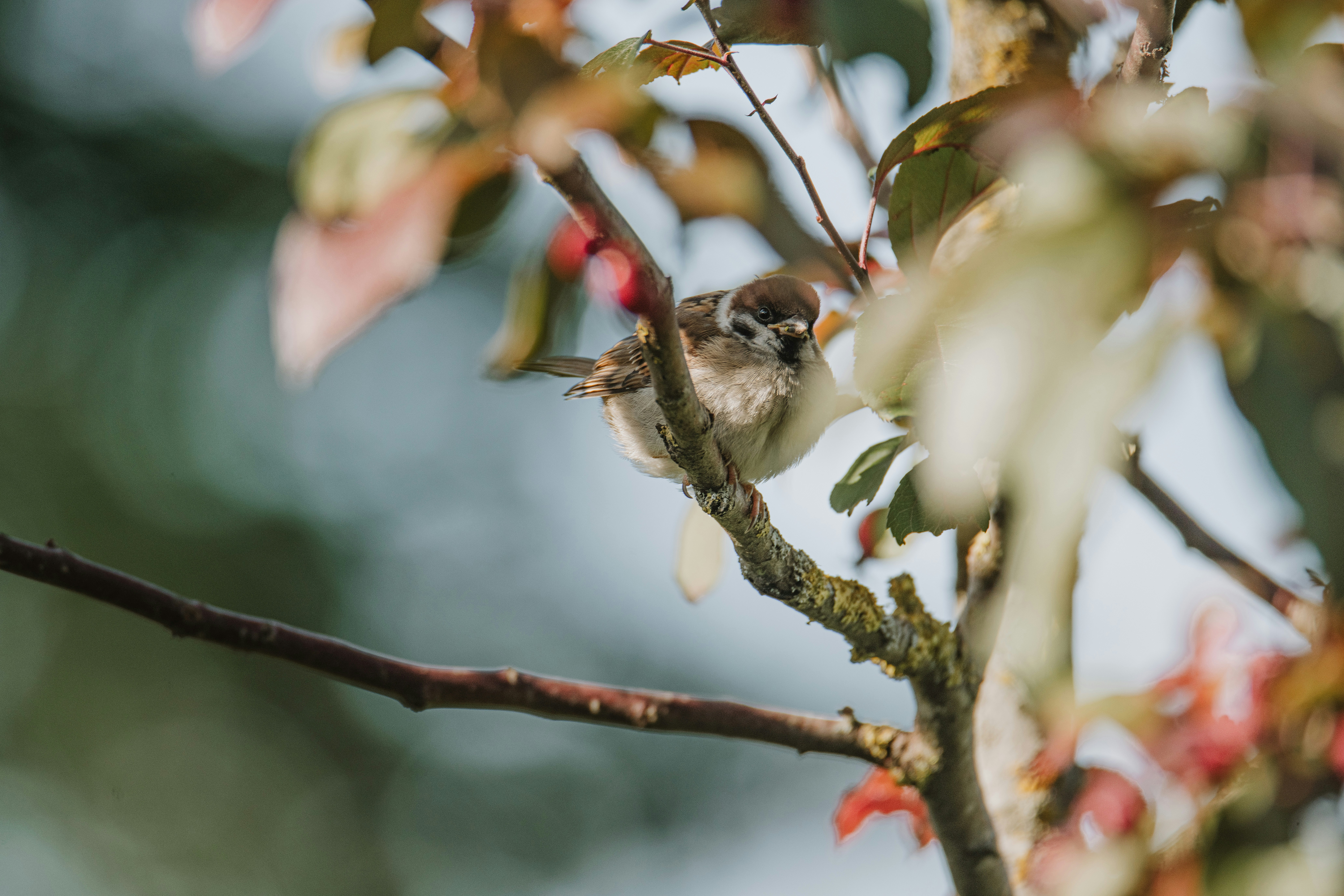 Photo by anitaaustvika