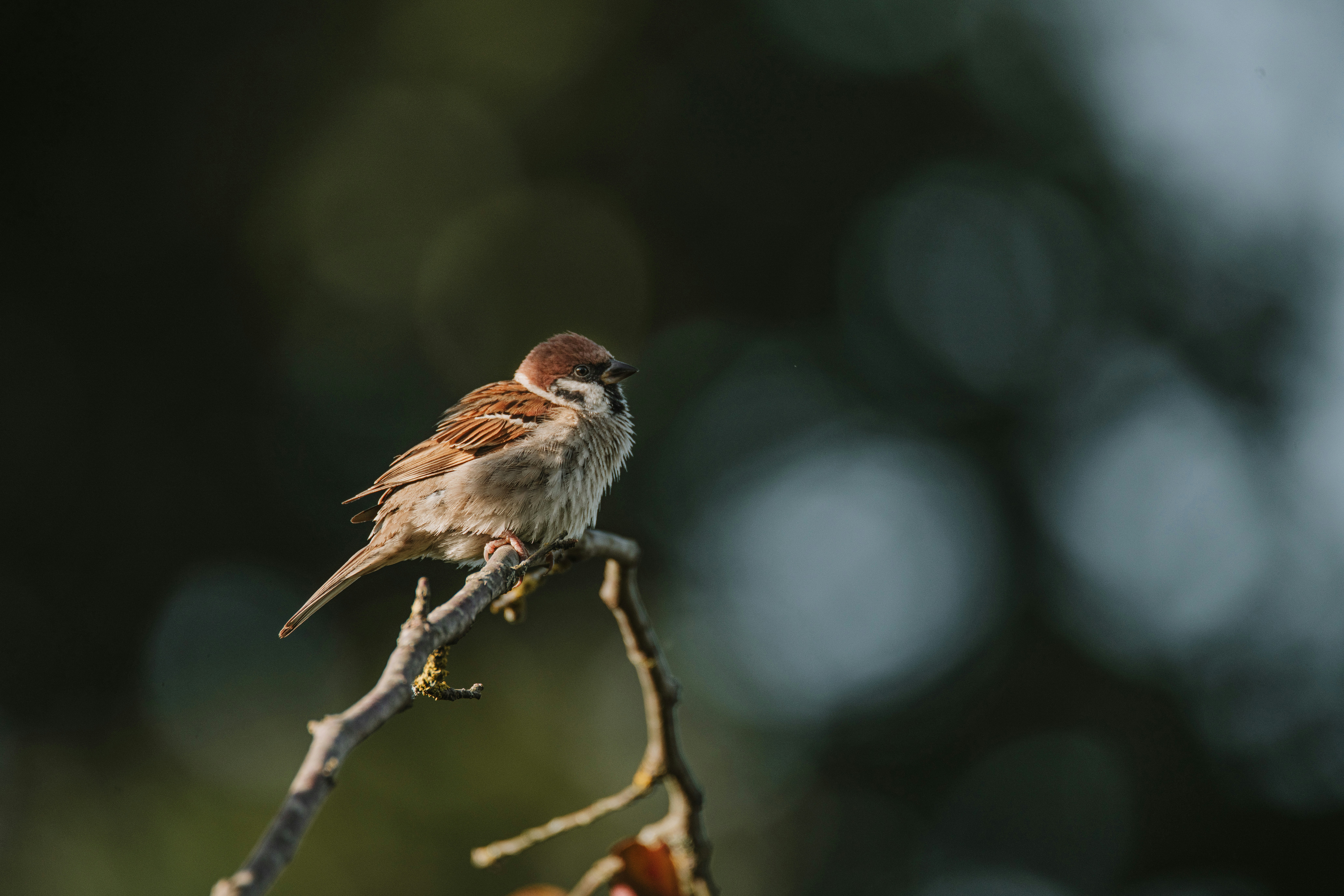 Photo by anitaaustvika