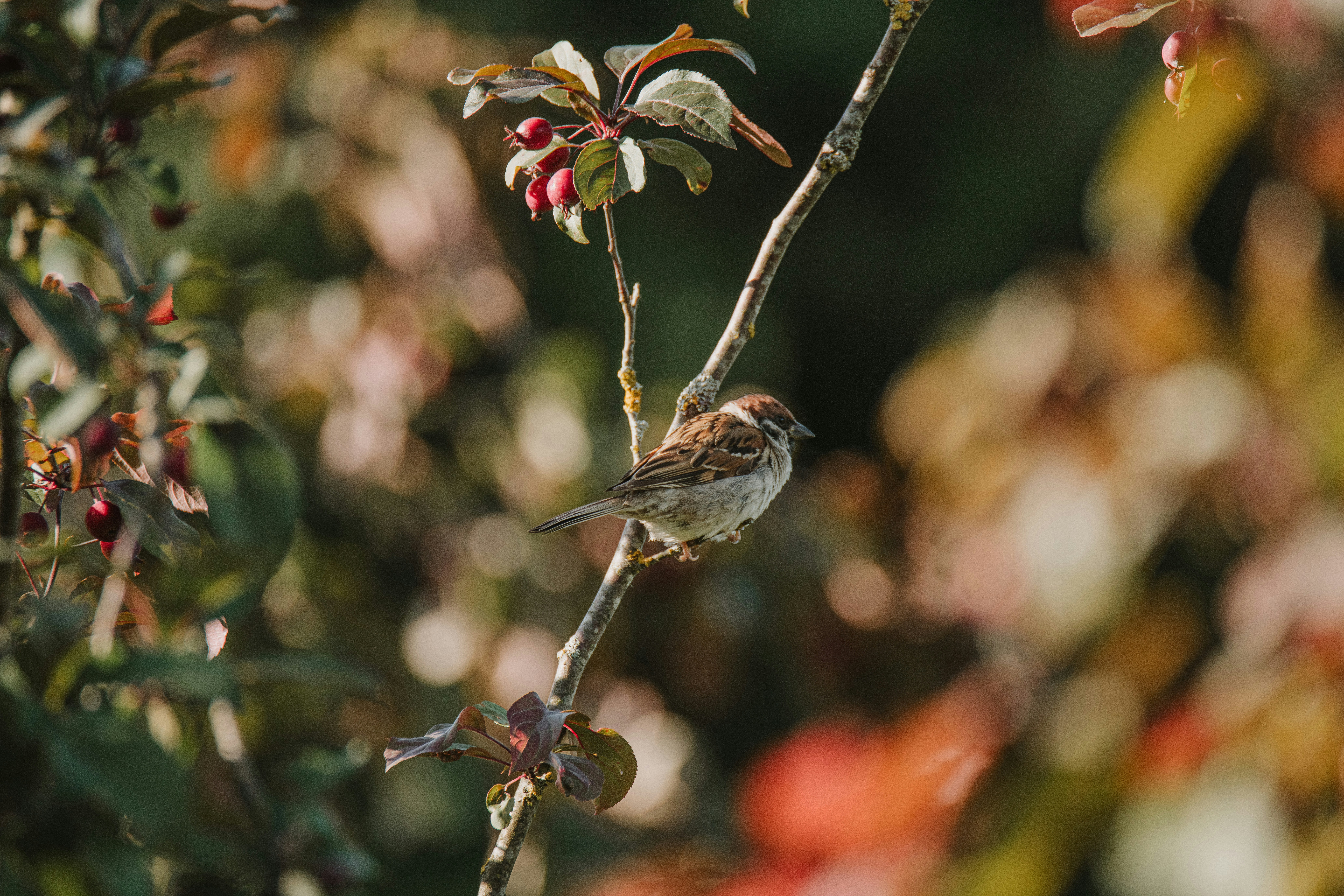 Photo by anitaaustvika