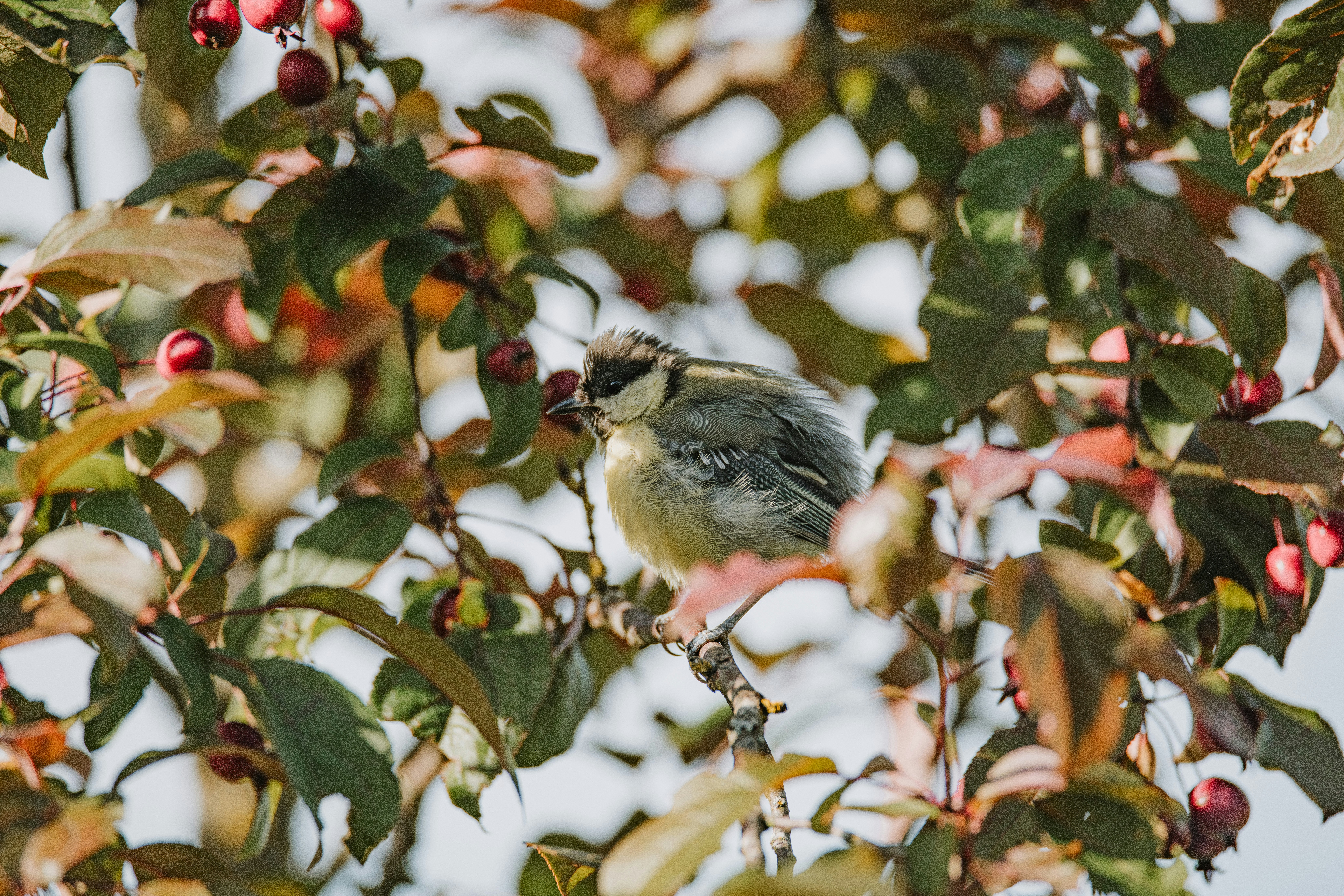 Photo by anitaaustvika