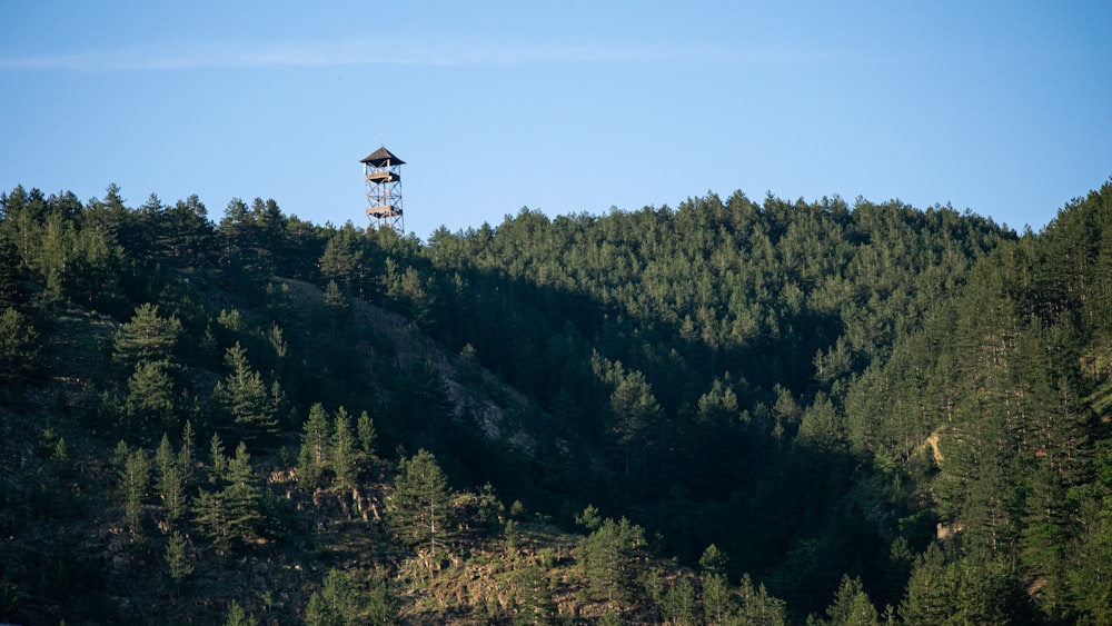 a water tower on top of a hill surrounded by trees