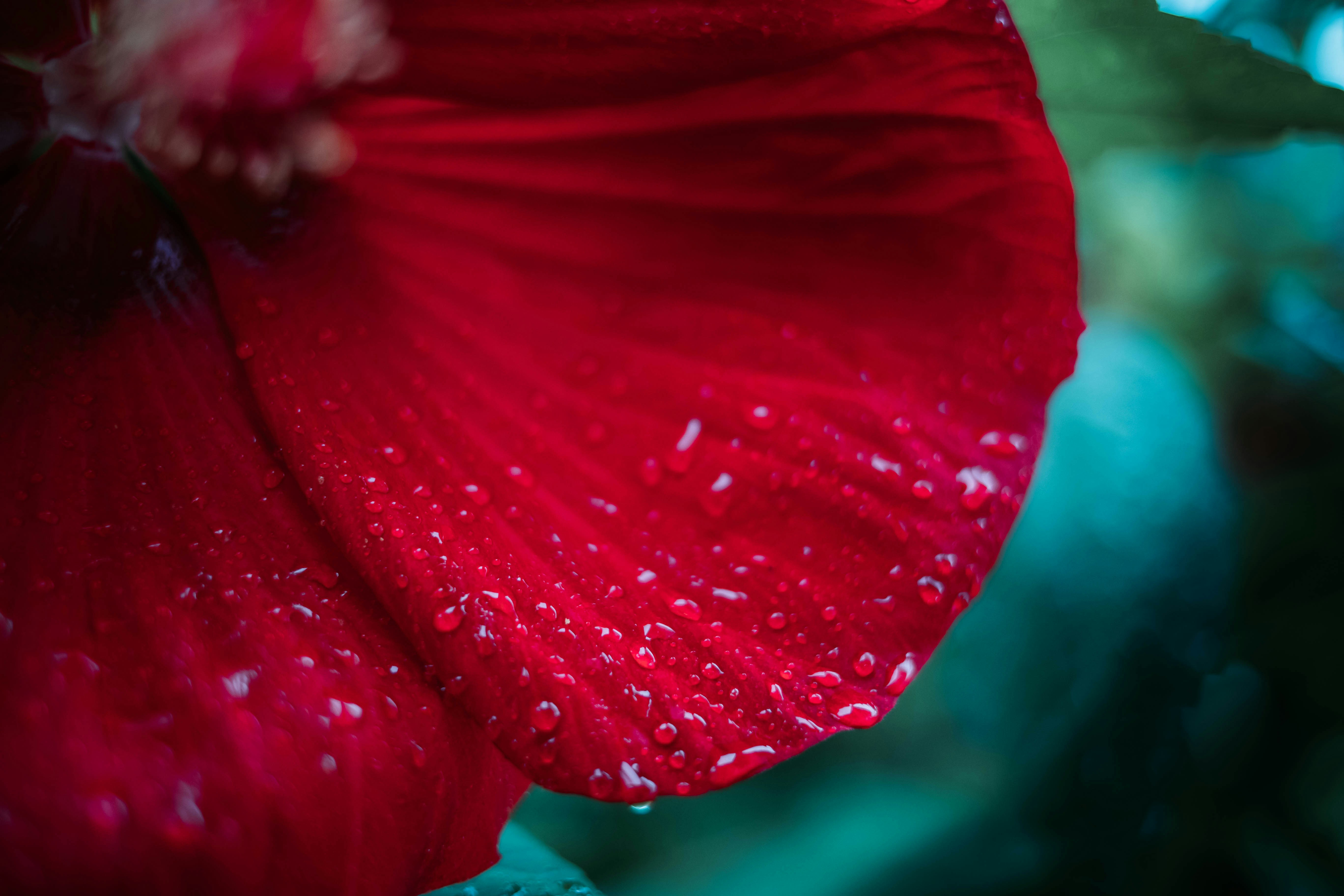 Photo by szabo_beni123