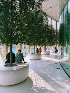 a group of people sitting under a tree