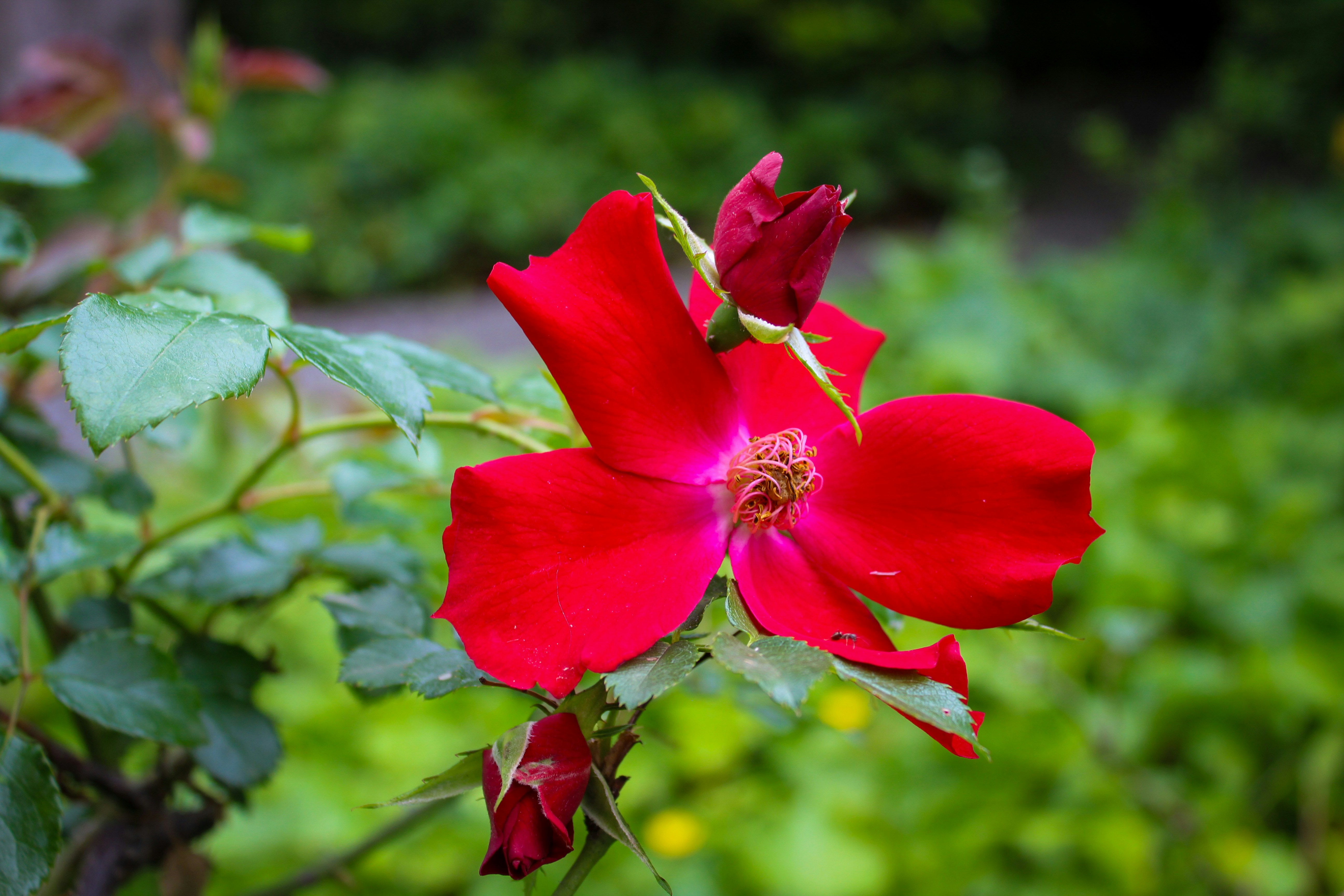 Photo by storybylano