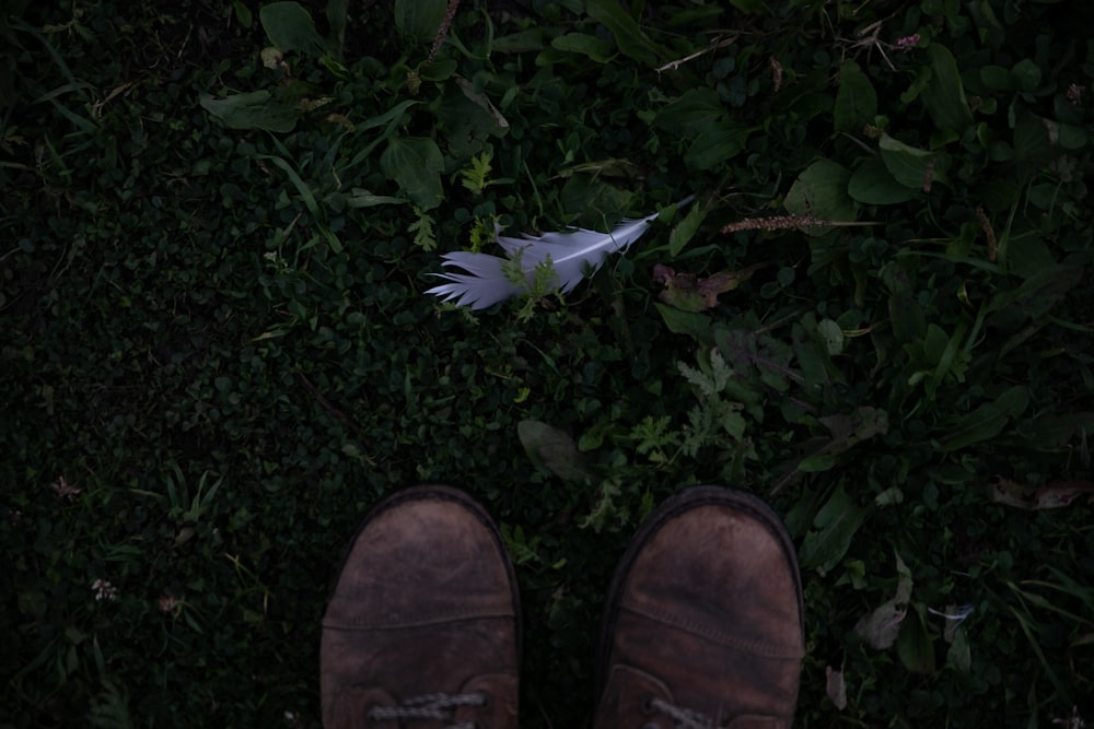 a person standing in the grass with a feather