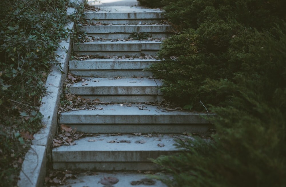 a set of concrete steps with leaves on them