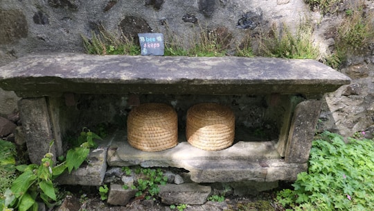A rustic display of beekeeping tools and protective gear arranged on a wooden table.