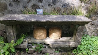 A pair of traditional woven bee skeps placed under a rustic stone shelf. The background features a weathered stone wall with small plants growing through the cracks. There is a small sign on the shelf labeled 'bee skeps', creating a quaint and natural setting.
