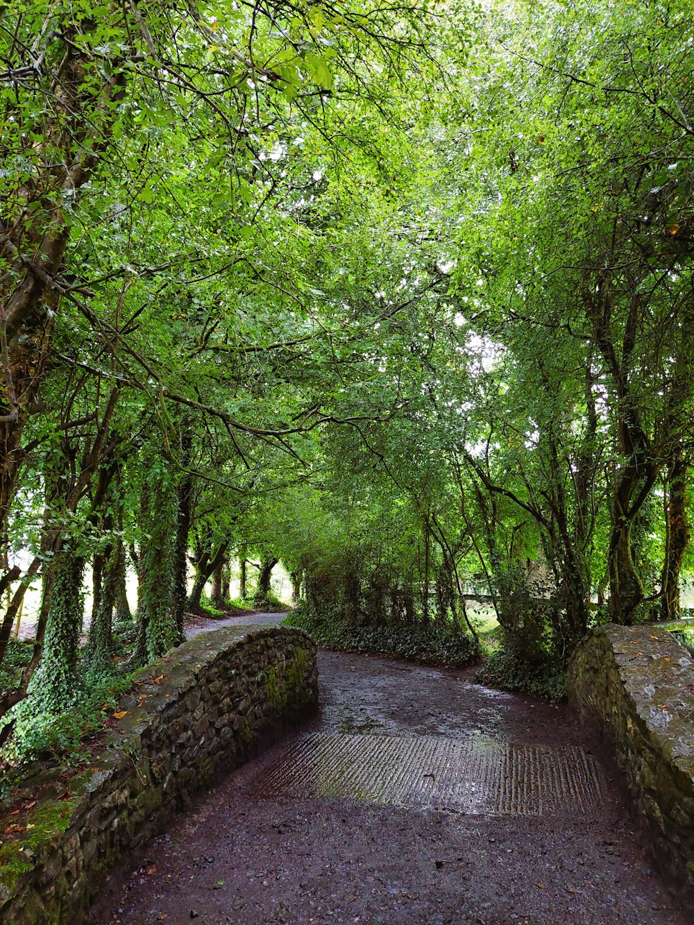 a stone walkway surrounded by trees and rocks