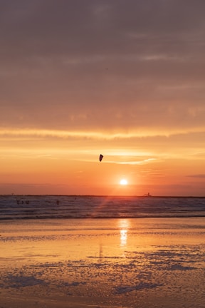 Colorful kites soaring above the golden sands of Mannar beach at sunset