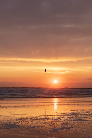 A serene beach spot with kite sails in the distance during golden hour.