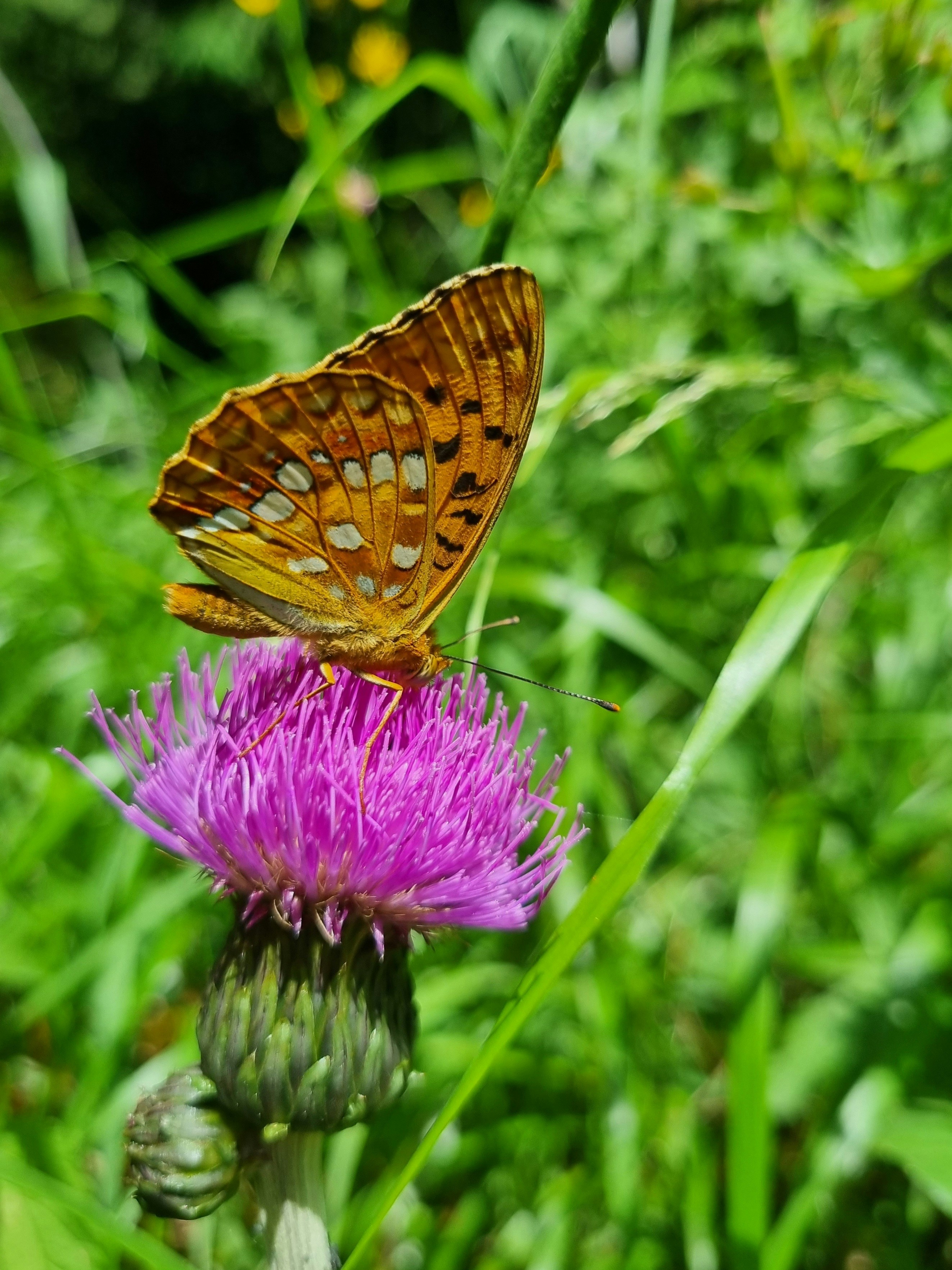 Photo by deibrinkjansen