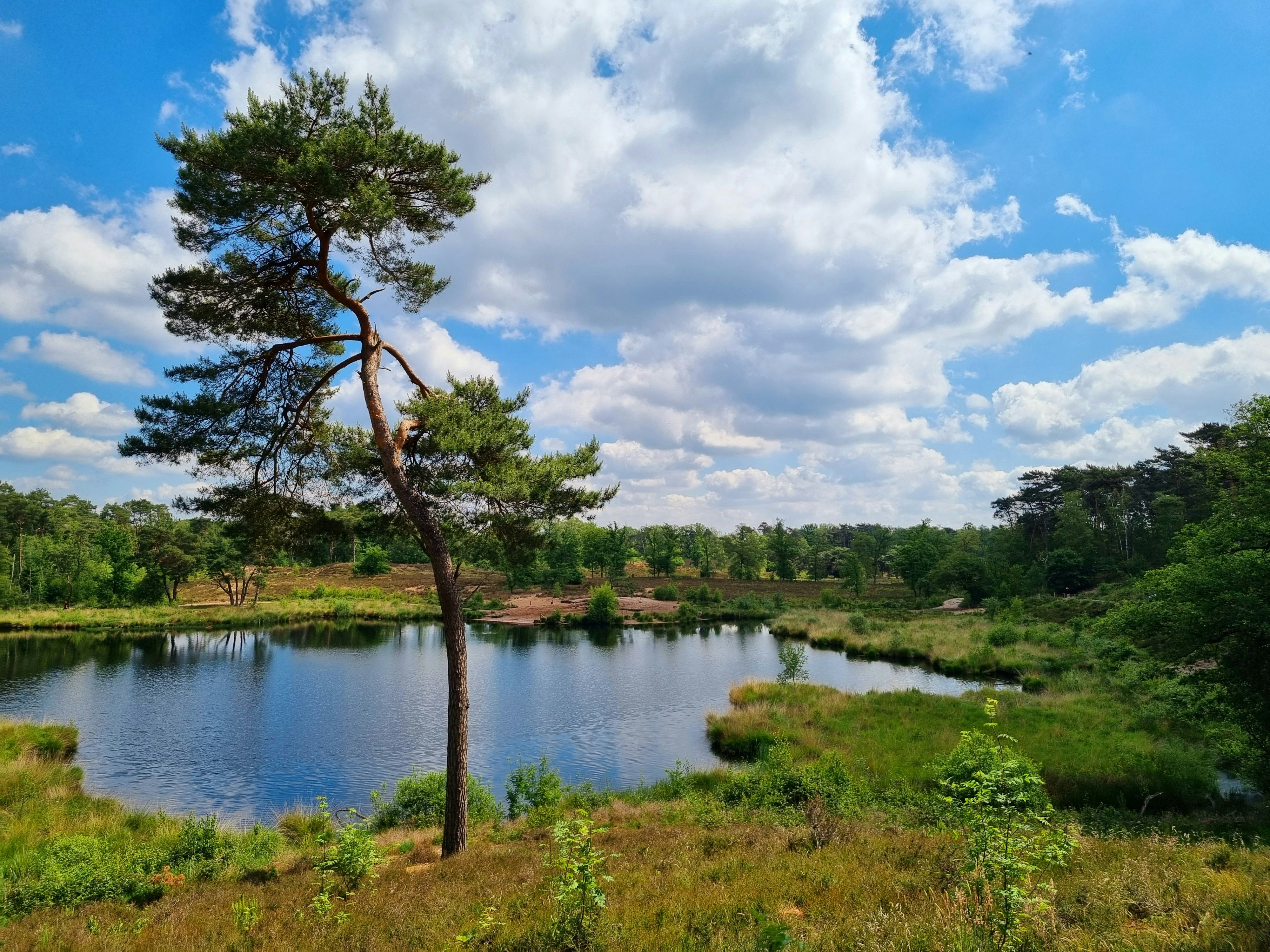 Photo by deibrinkjansen