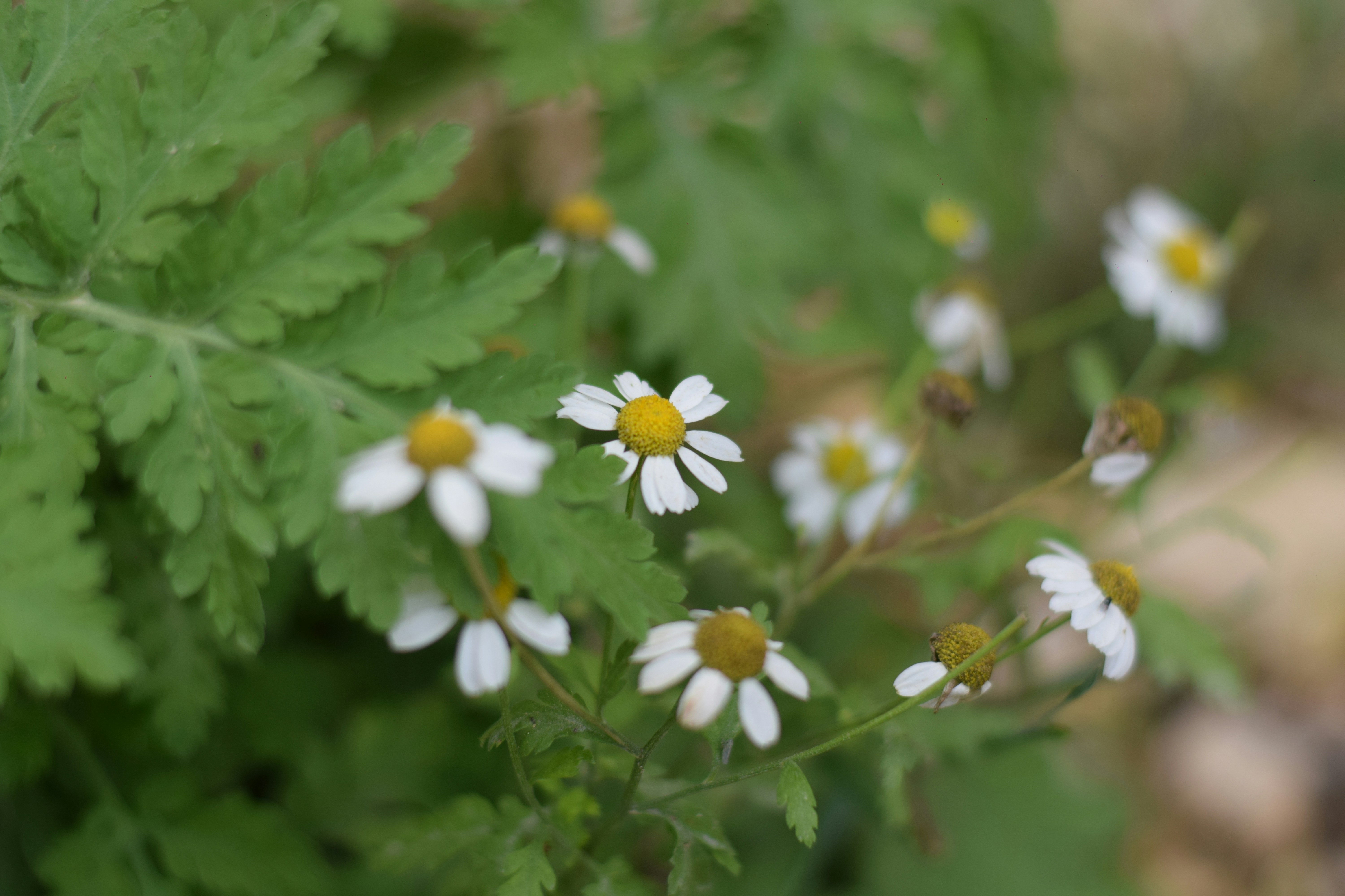 Photo by saleh_aka_jim