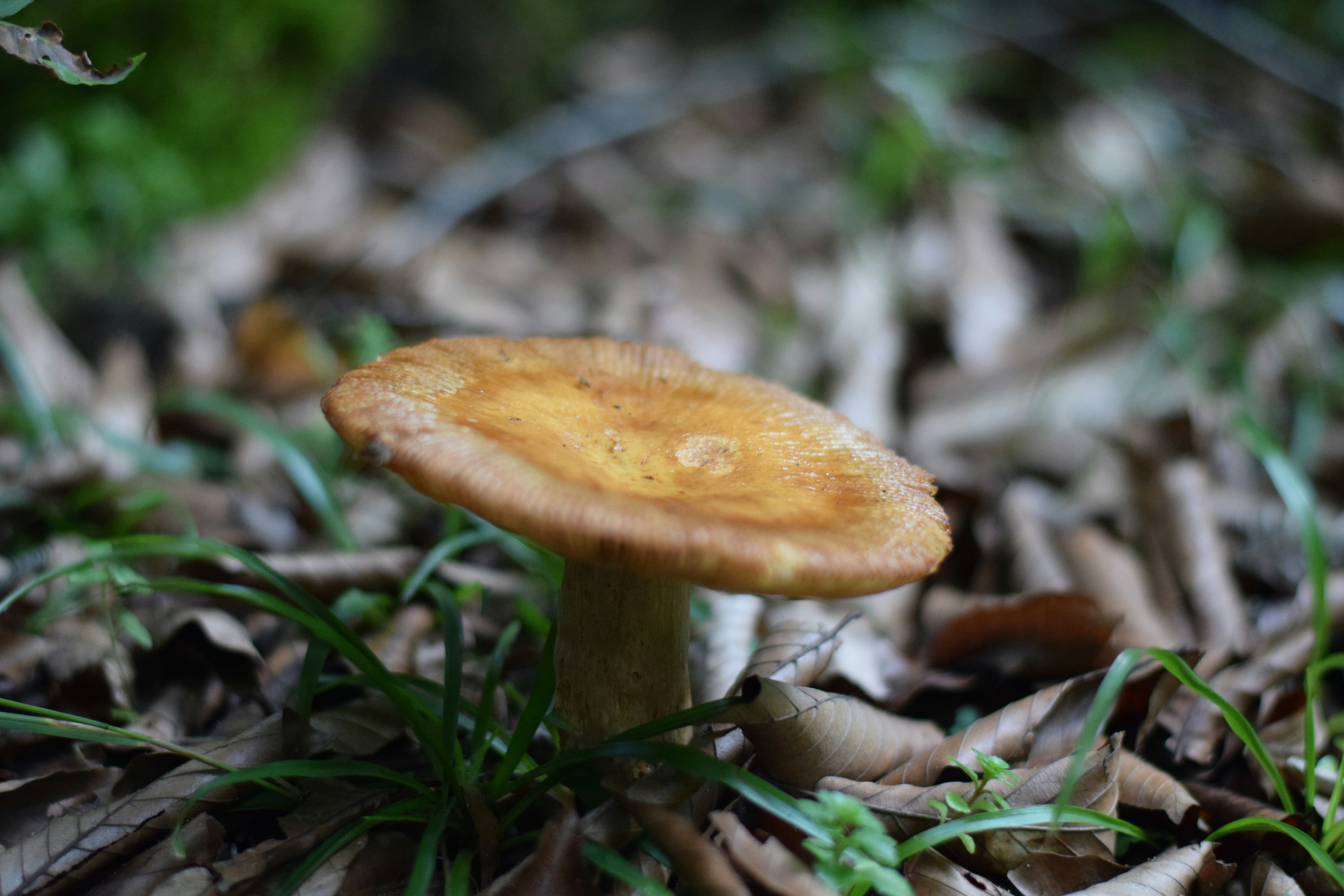 Photo by saleh_aka_jim