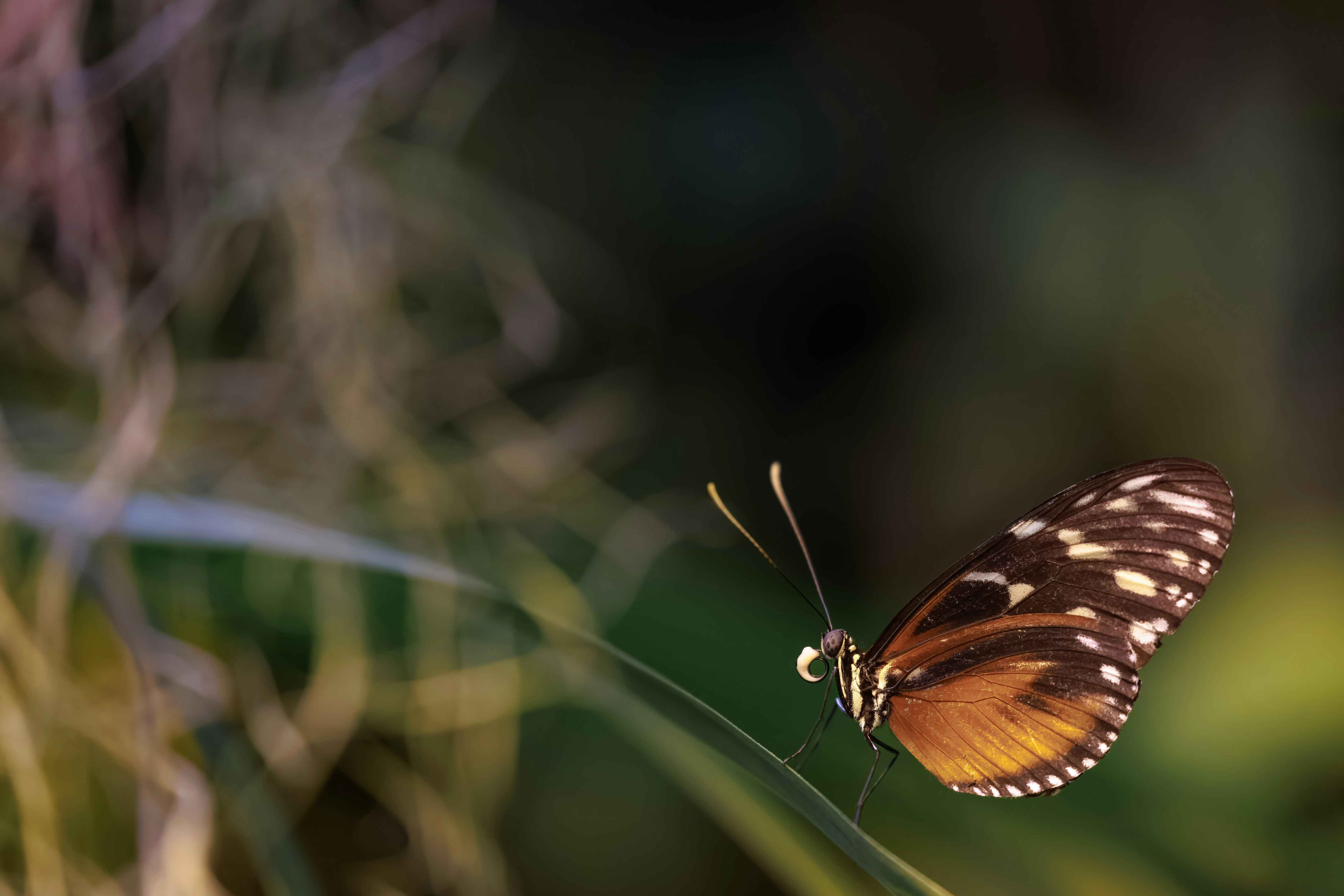 Photo by vincentvanzalinge