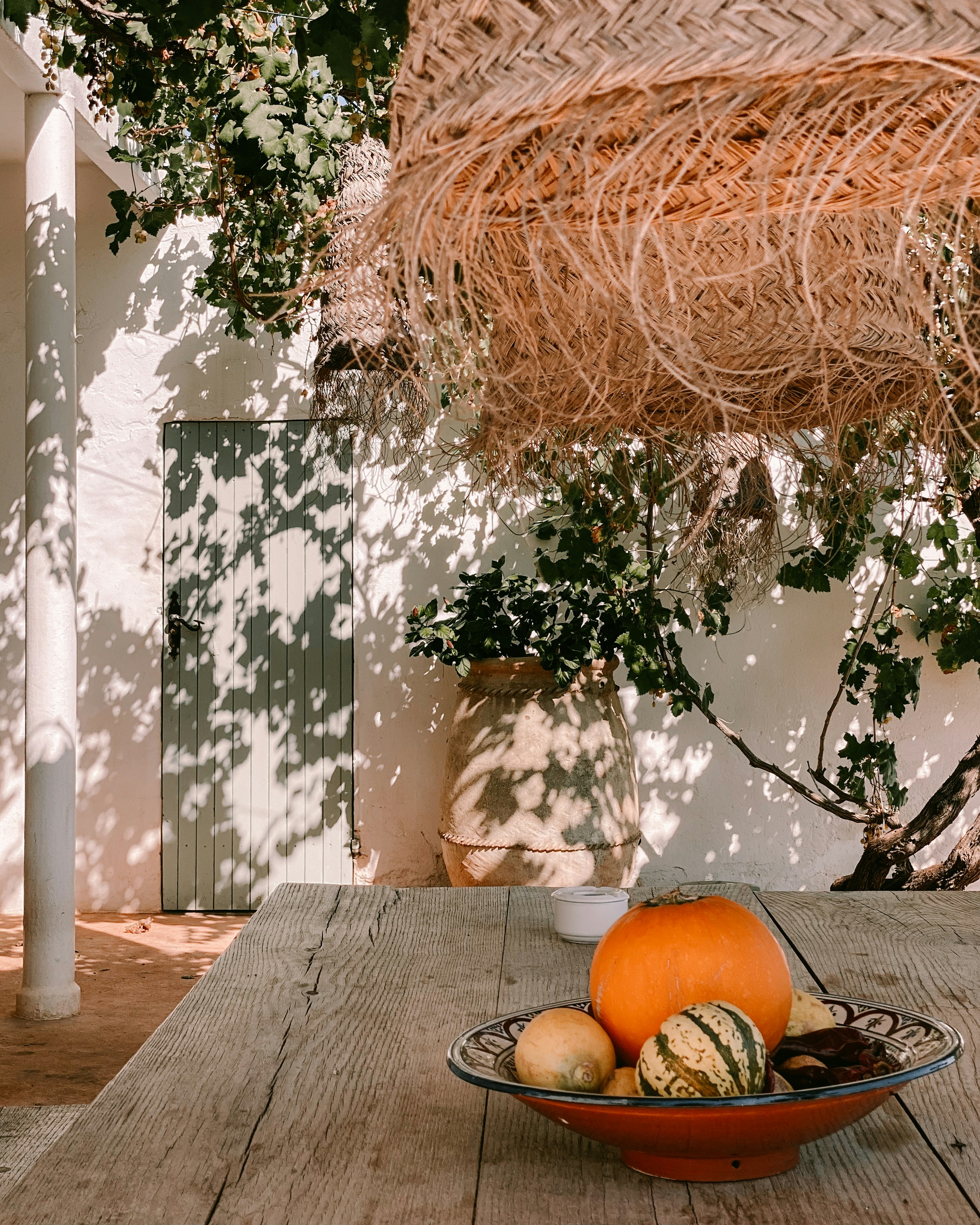 Photo by monique_in_ibiza