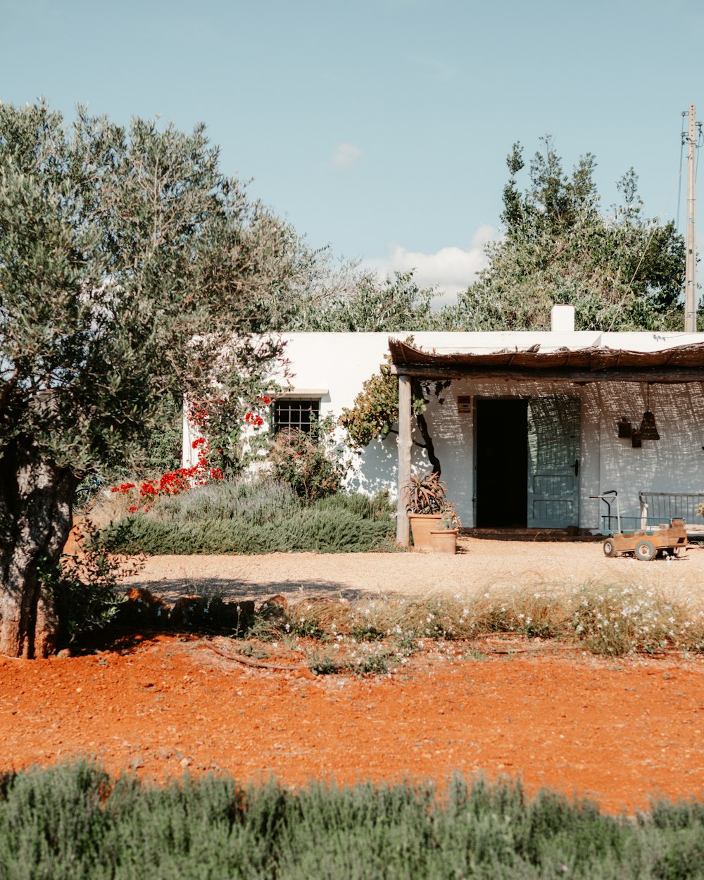 a small white building sitting next to a tree