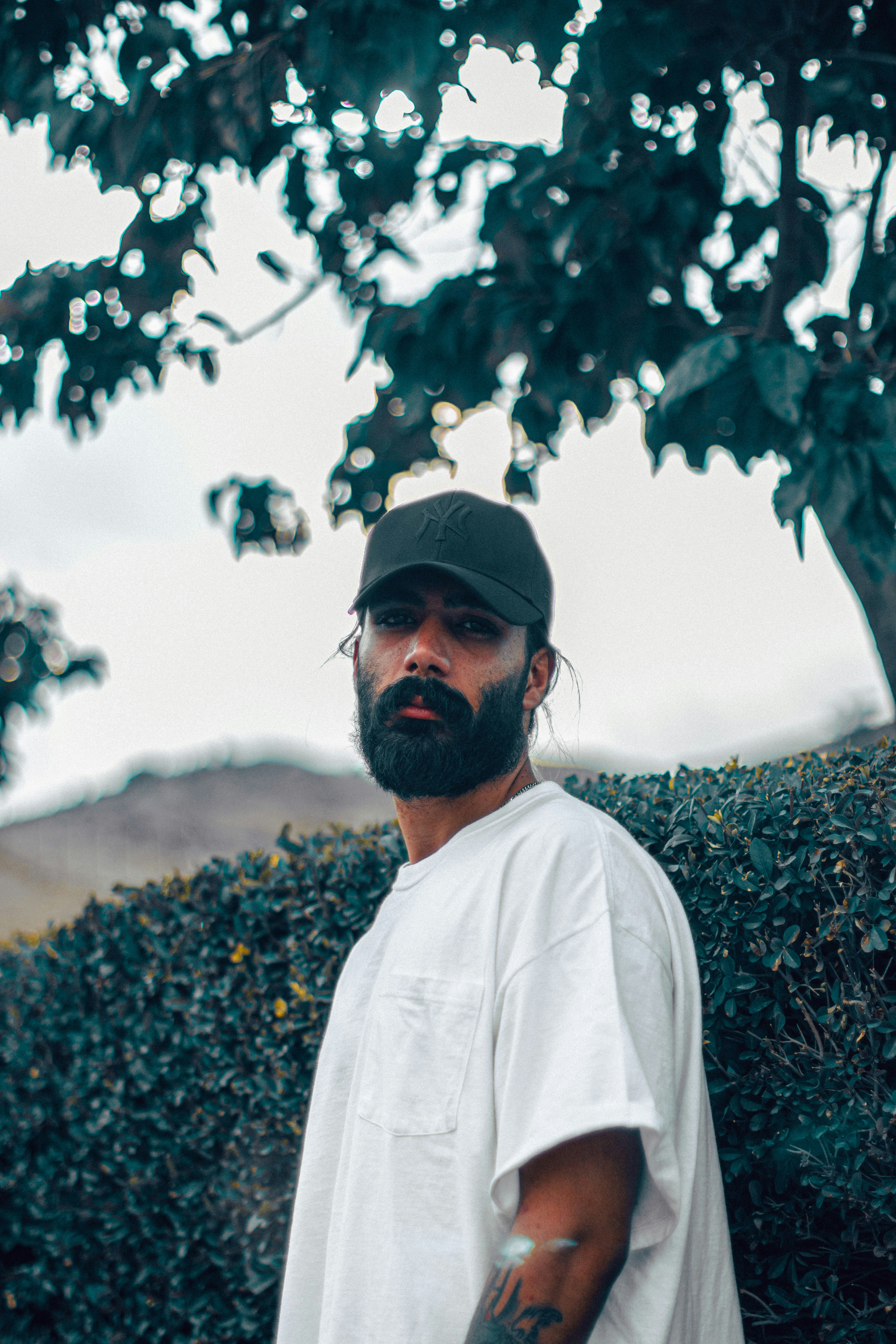 Photo by alihadadikia