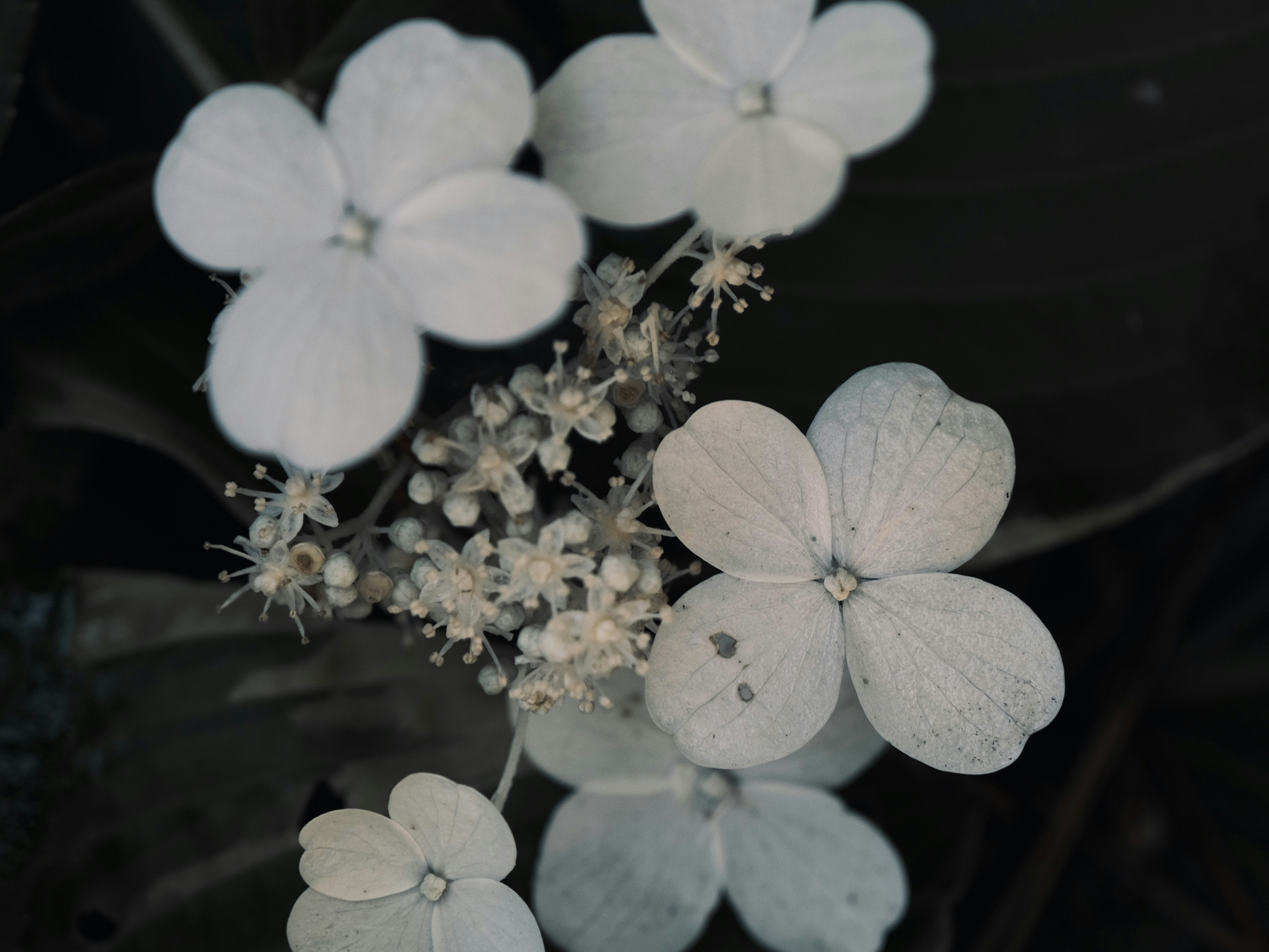 Photo by mkrawczynski