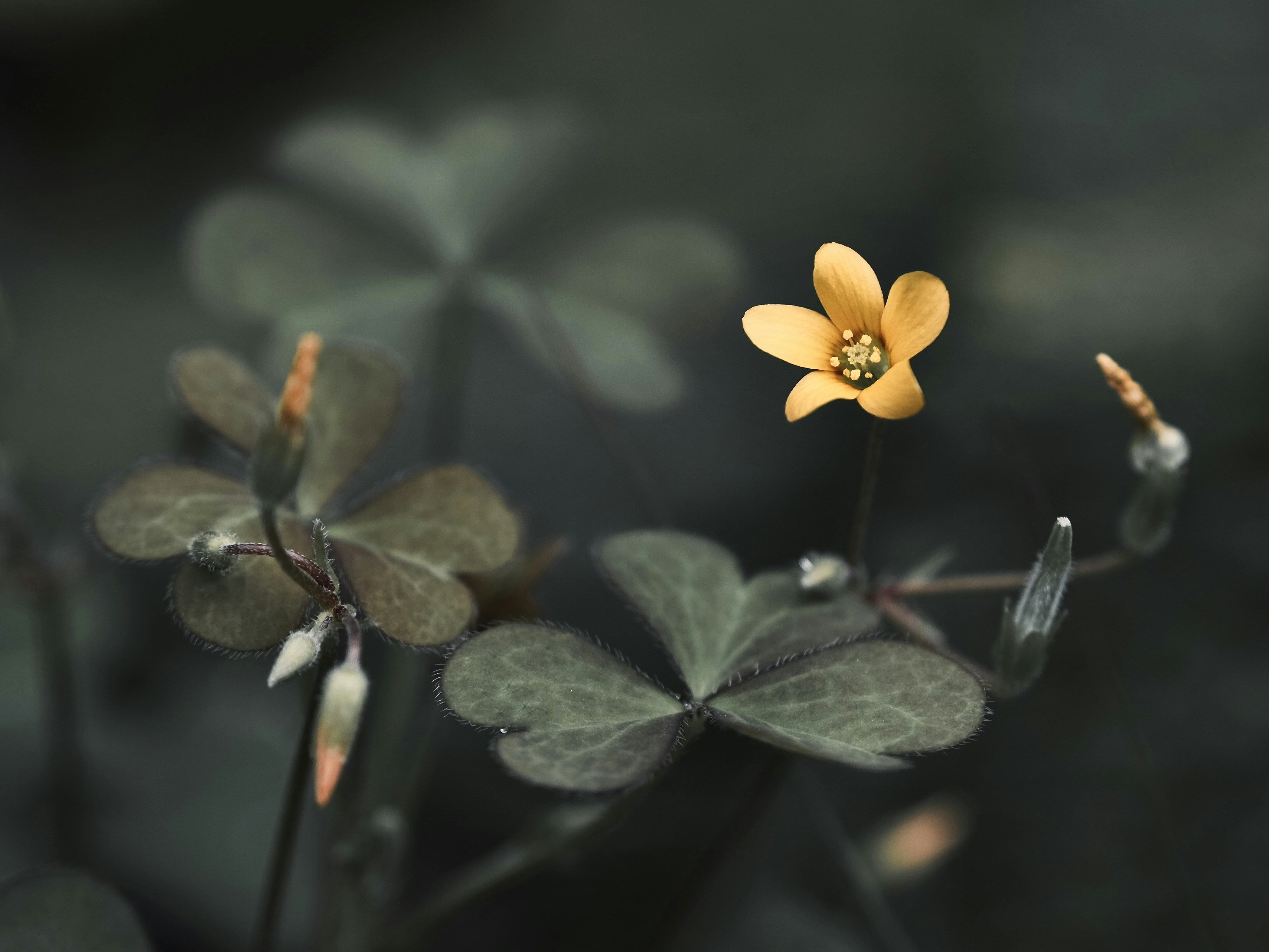 Photo by mkrawczynski