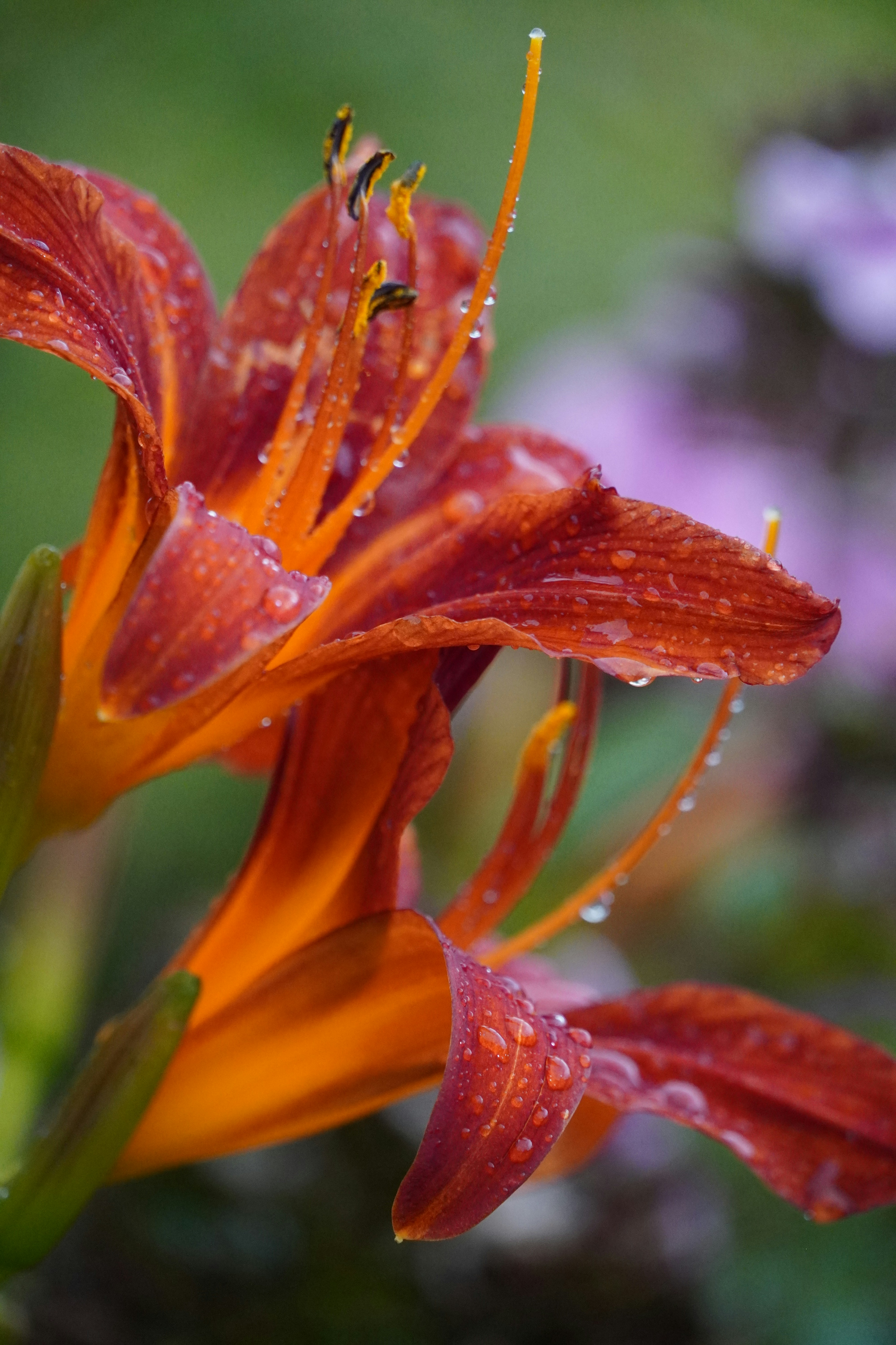 Photo by theodor_jacob