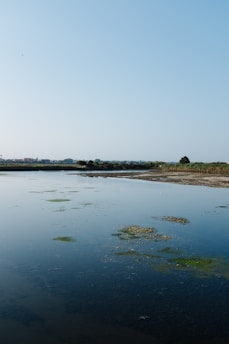 a large body of water surrounded by land
