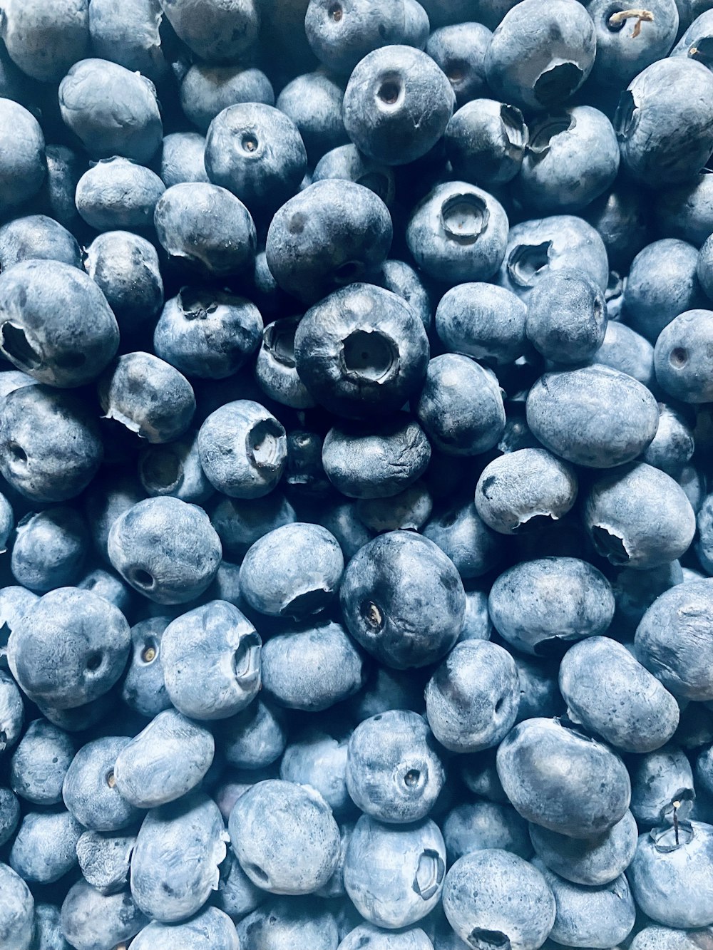 a pile of blueberries sitting next to each other