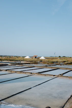 A serene Balinese farmer harvesting sea salt under the warm morning sun, surrounded by traditional salt ponds.