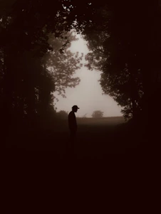 A mysterious silhouette of a hunter at dawn in a misty forest.