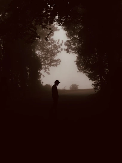 A mysterious silhouette of a hunter at dawn in a misty forest.