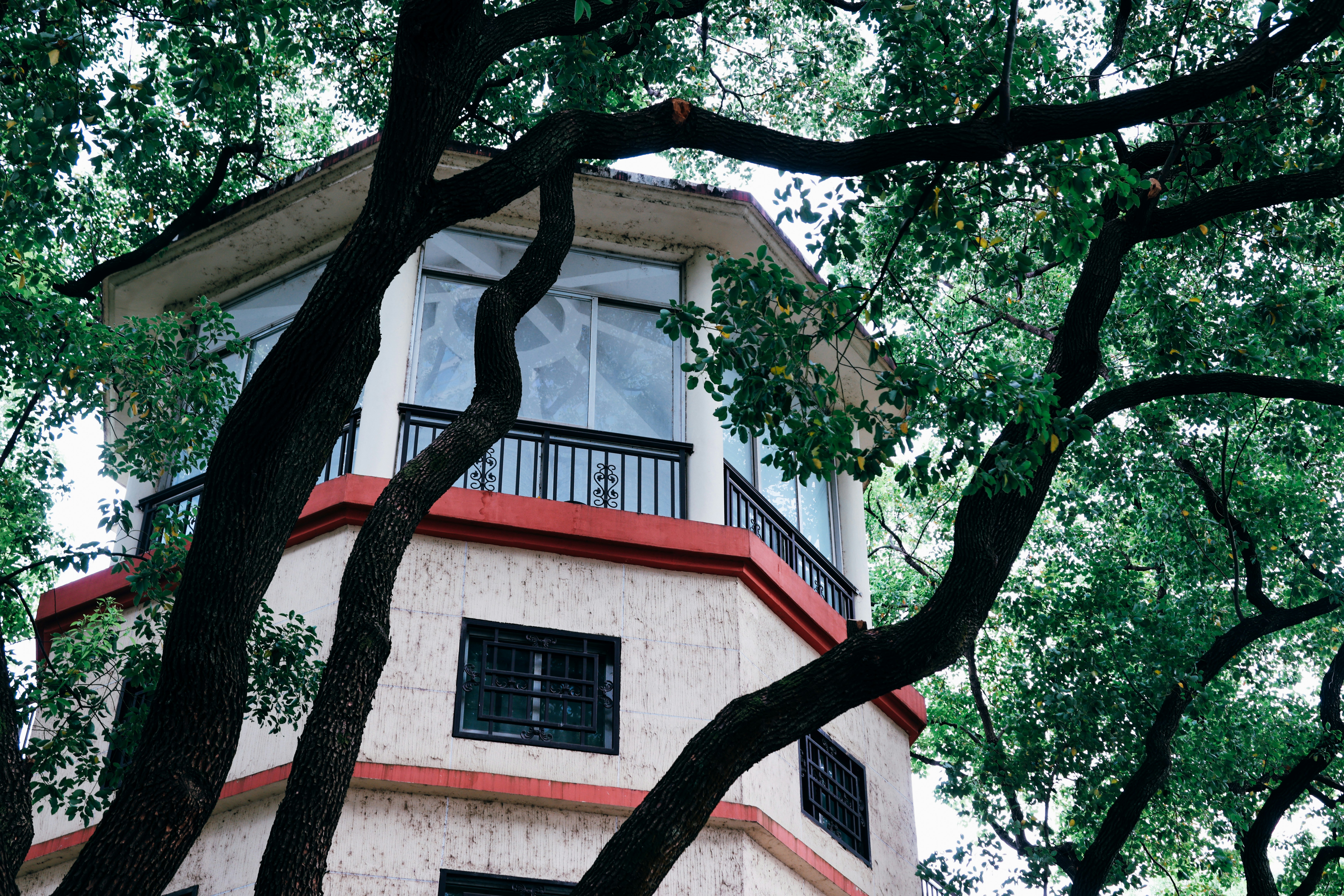 Photo by dickenslin76