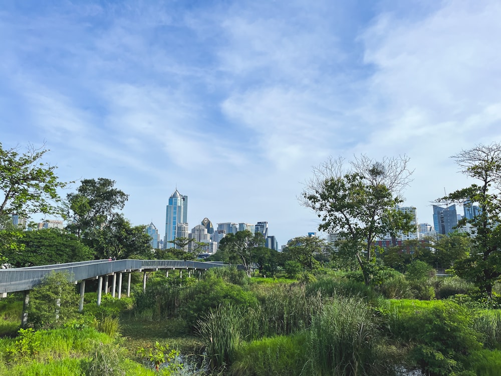 a view of a city skyline from a park