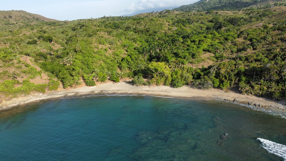 an aerial view of a beach surrounded by trees