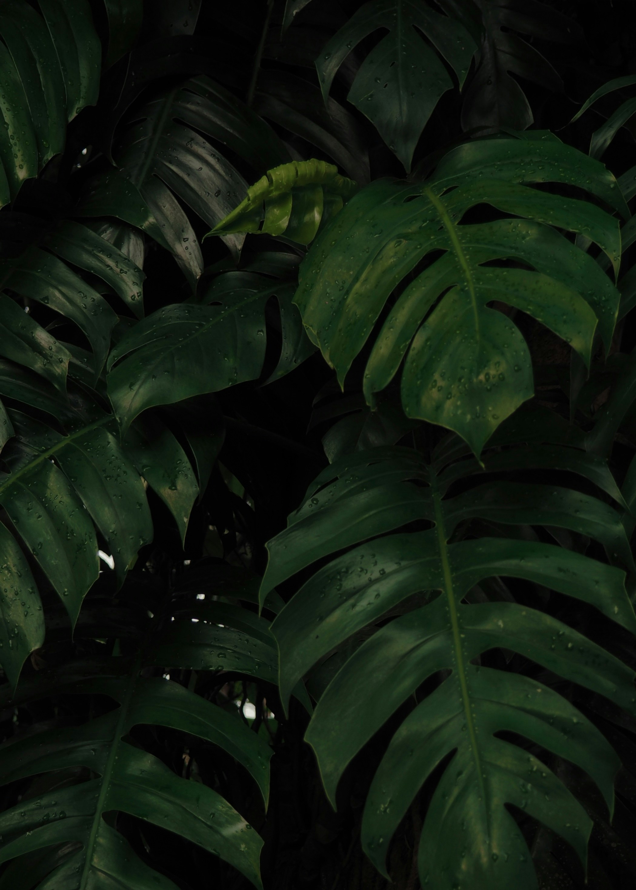 Photo by anastasia2208