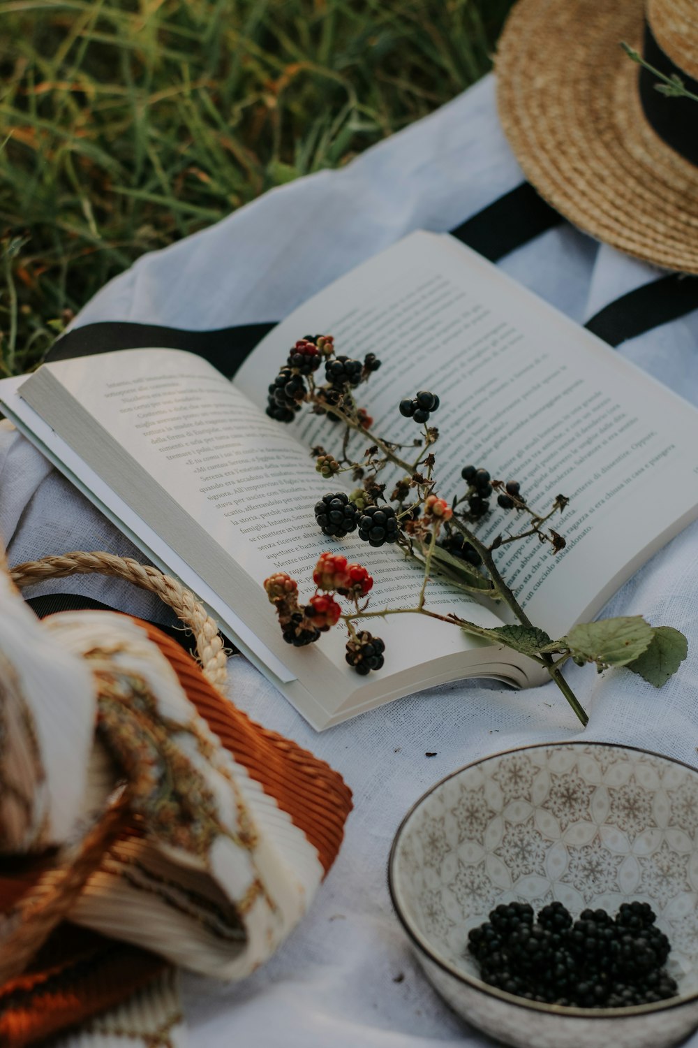 a book, bowl of berries, and straw hat on a blanket
