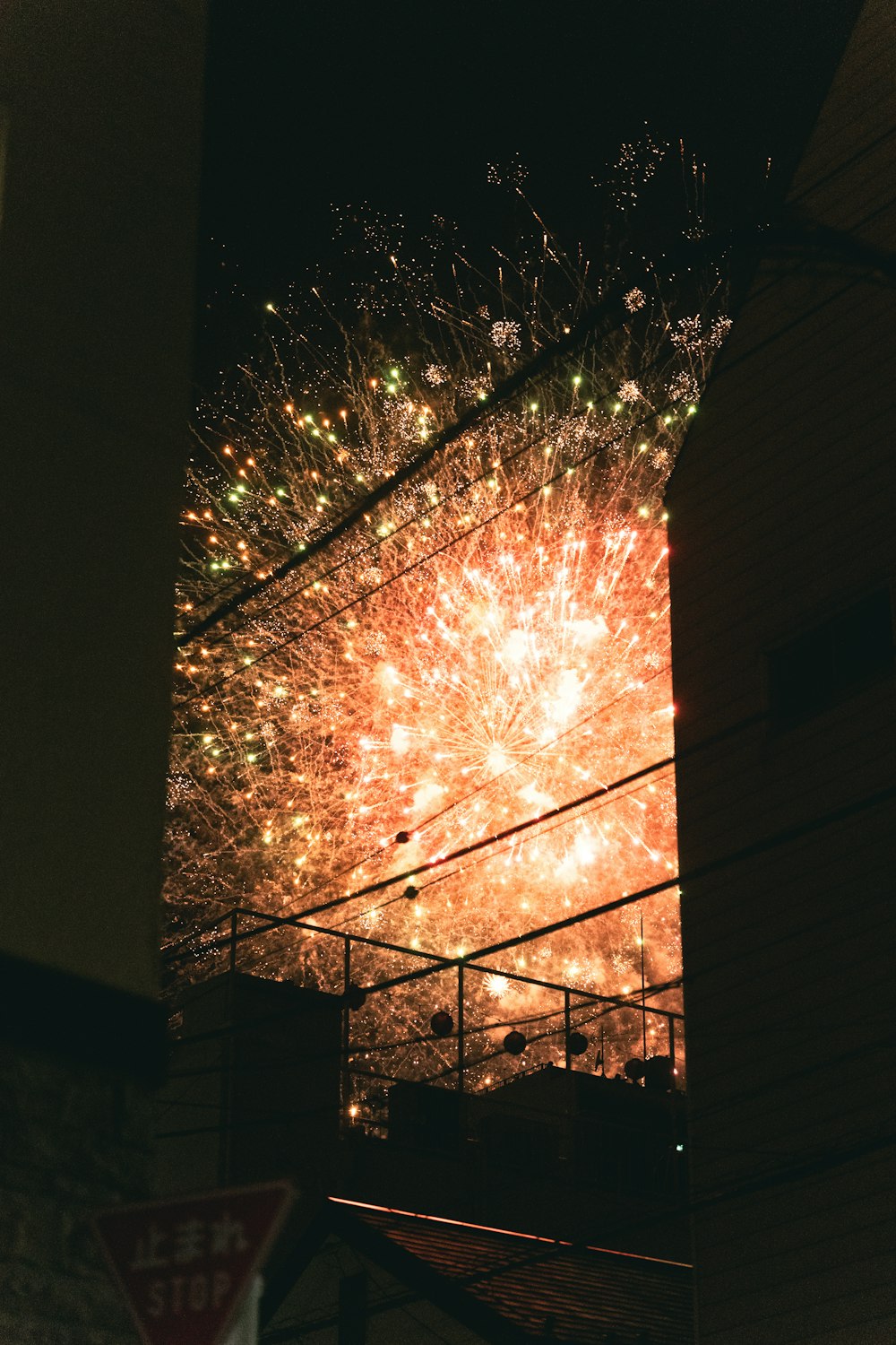 a large fireworks is lit up in the night sky