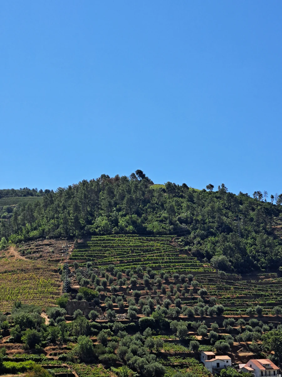Un tour 4×4 dans le Douro