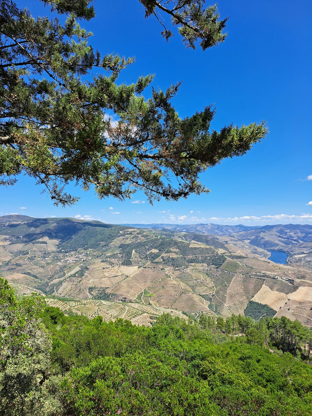 a scenic view of a mountain range with a lake in the distance