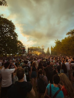 A scenic outdoor performance showcasing an energetic crowd.