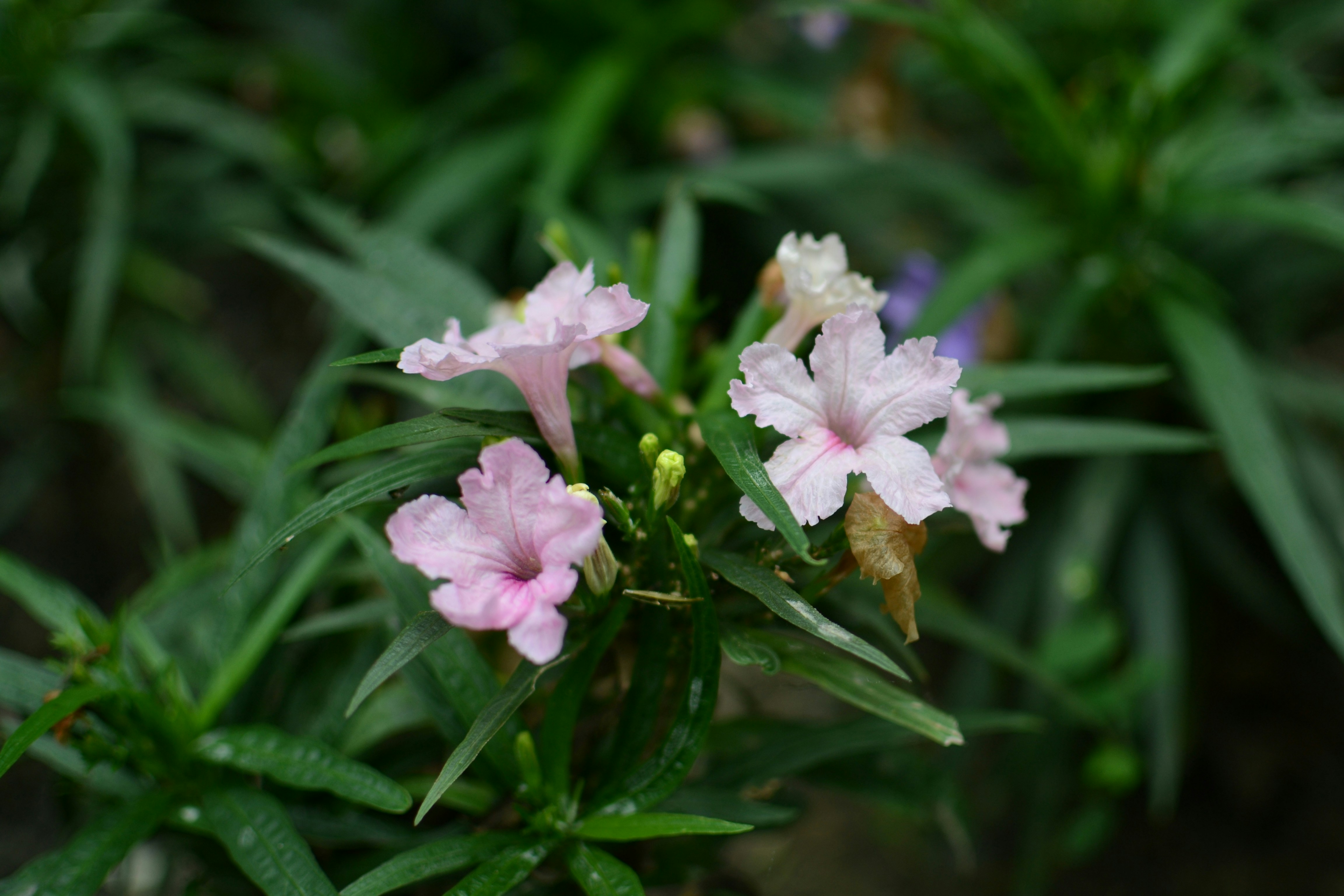 Photo by kuyuneth2543